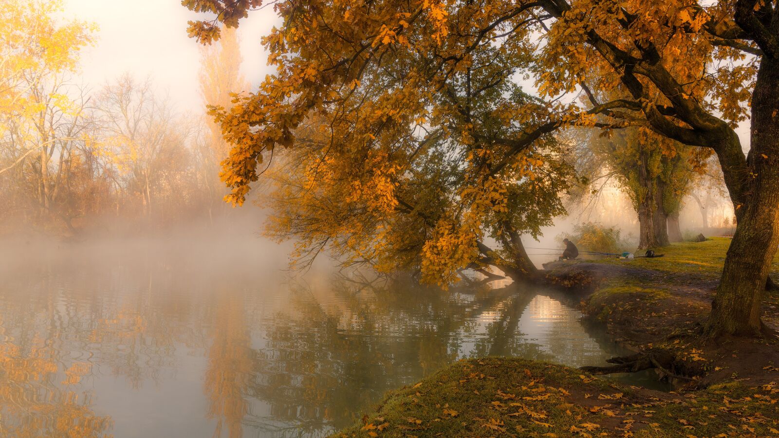 Nikon D610 sample photo. Autumn, river photography