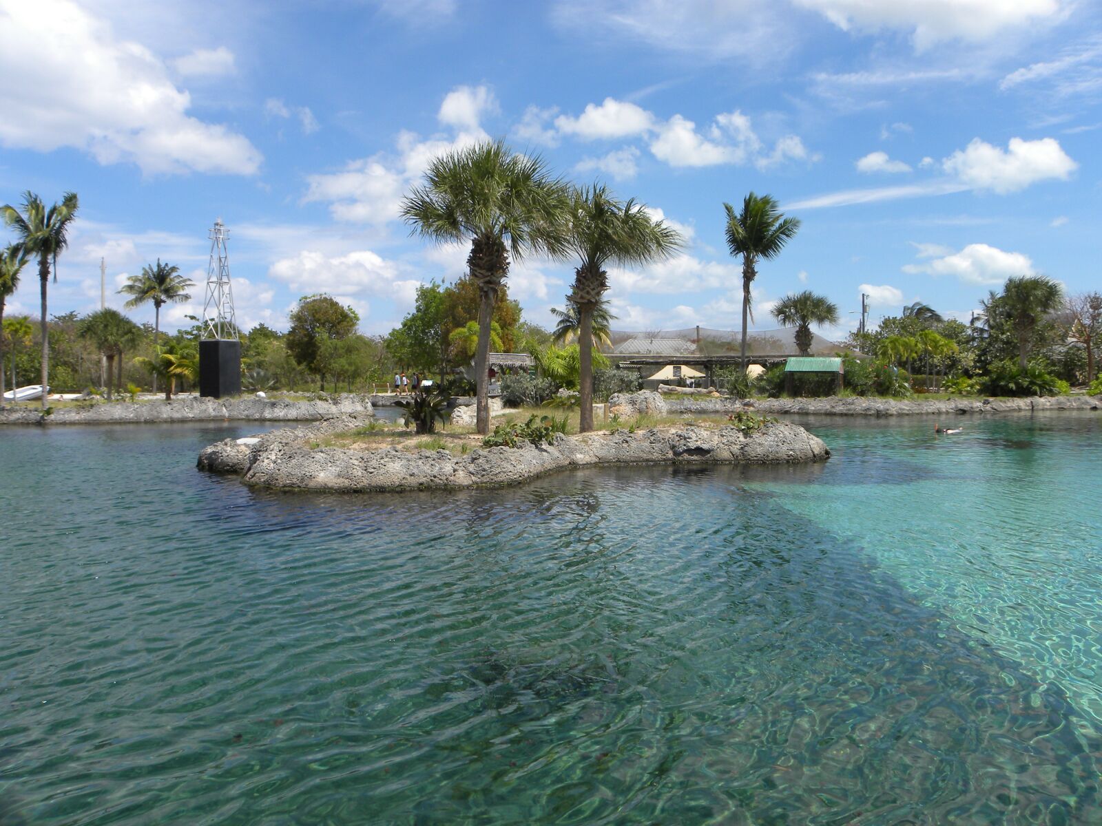 Nikon Coolpix P90 sample photo. Park, turtles, trip photography