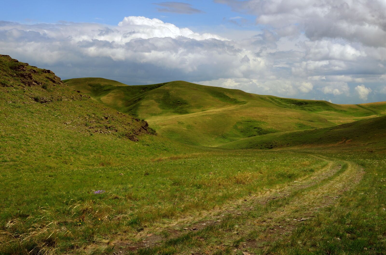 Nikon D5000 sample photo. Road, mountains, landscape photography