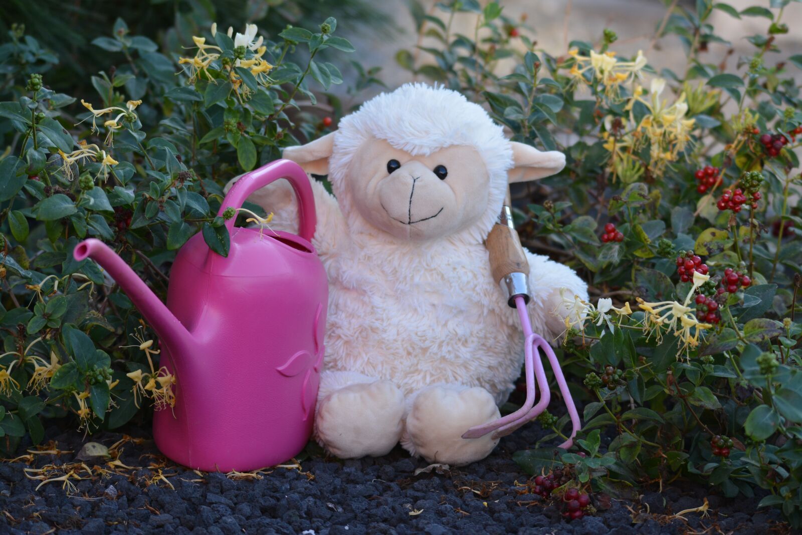 Nikon D7100 sample photo. Doudou, garden, sitting photography