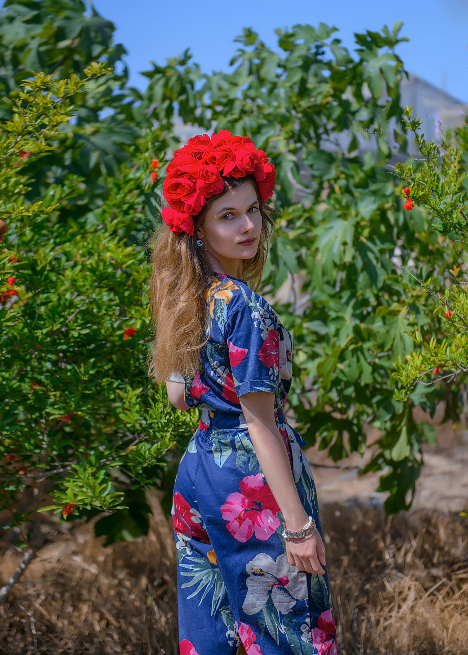 Nikon D800 sample photo. Nature, summer, outdoors photography