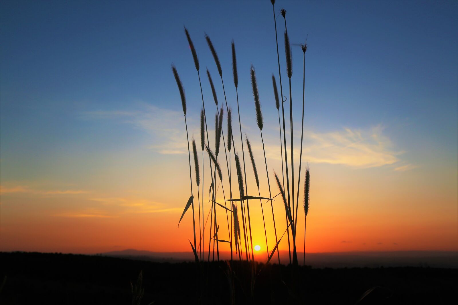 Canon EF 24-105mm F4L IS USM sample photo. Sunset, in the evening photography
