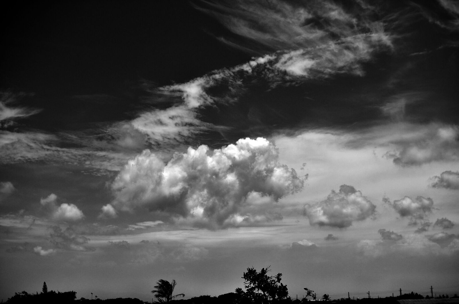 Nikon D7000 sample photo