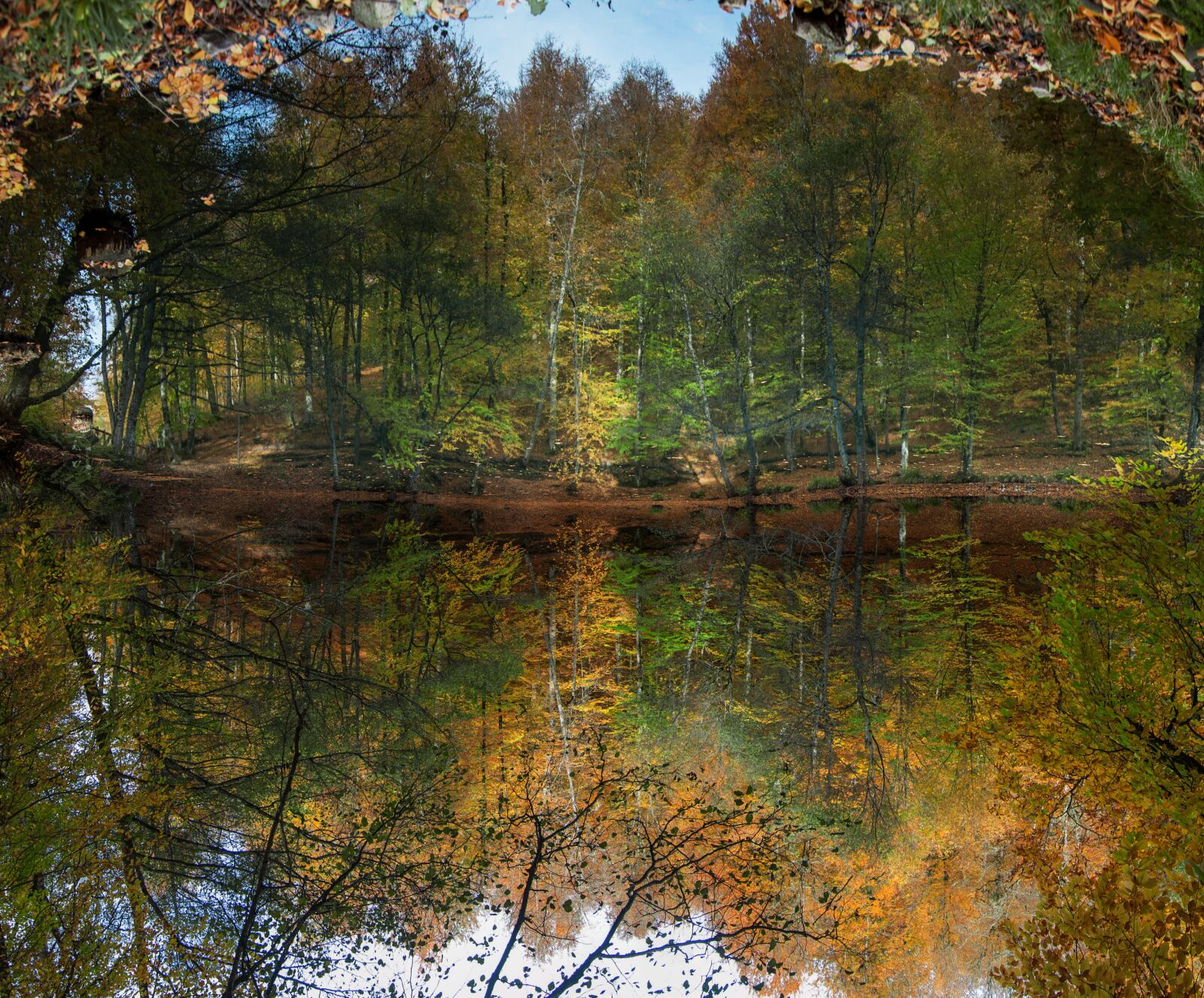 Nikon D90 sample photo. Forest, river, kennedy photography