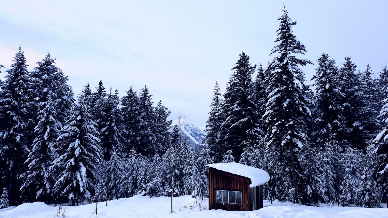 Samsung Galaxy S5 sample photo. Snow, winter, cold photography