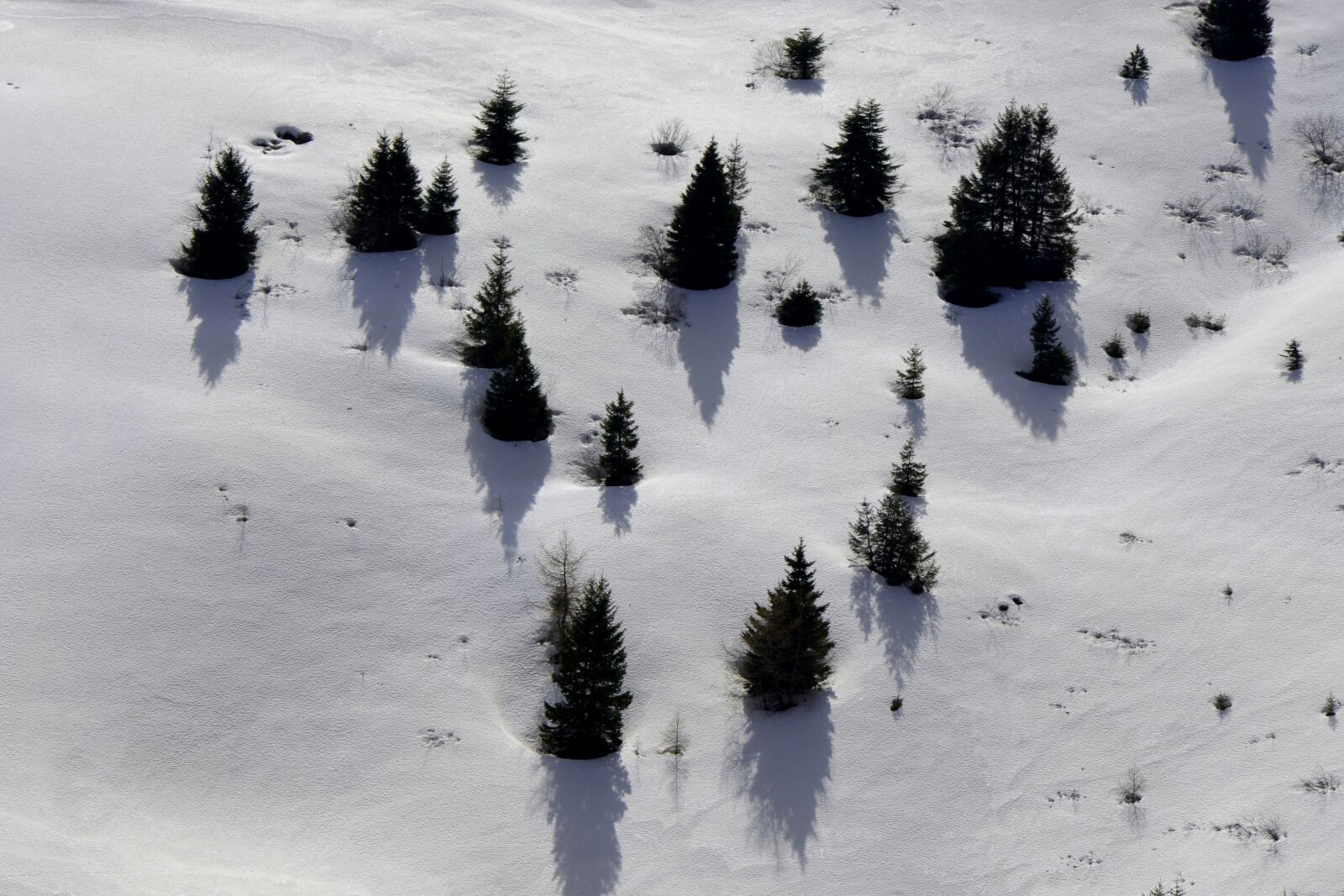Nikon D5100 sample photo. Winter, snow, cold photography