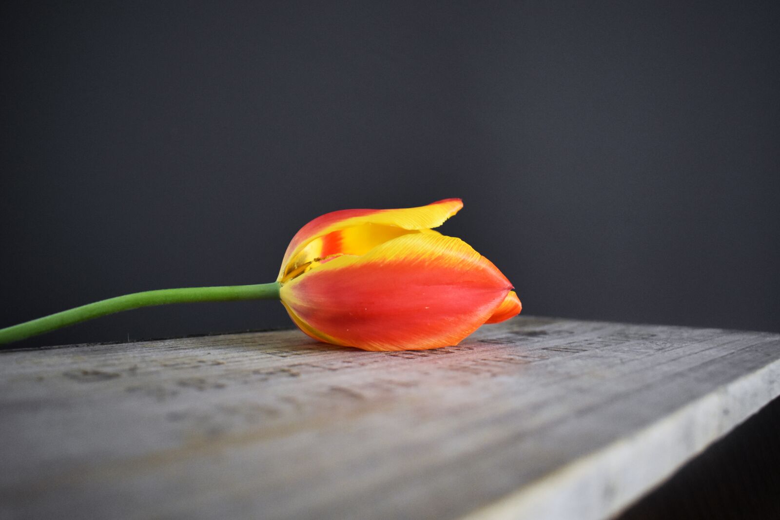 Nikon D3400 sample photo. Tulip, wooden crate, orange photography