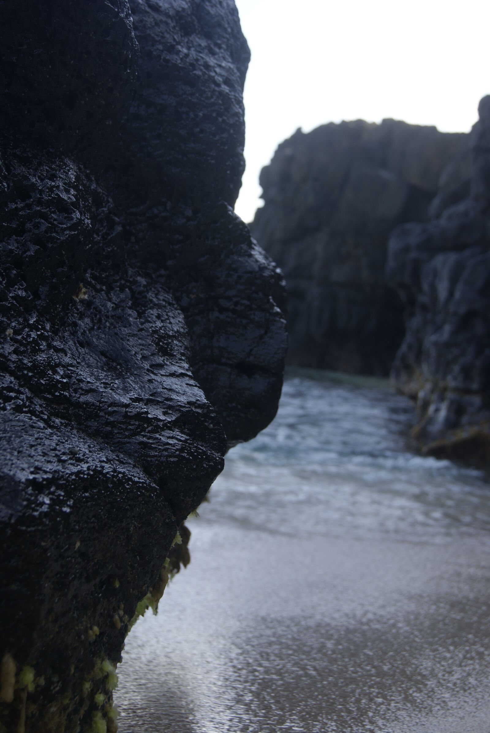 Sony Alpha DSLR-A230 sample photo. Water, nature, rock photography