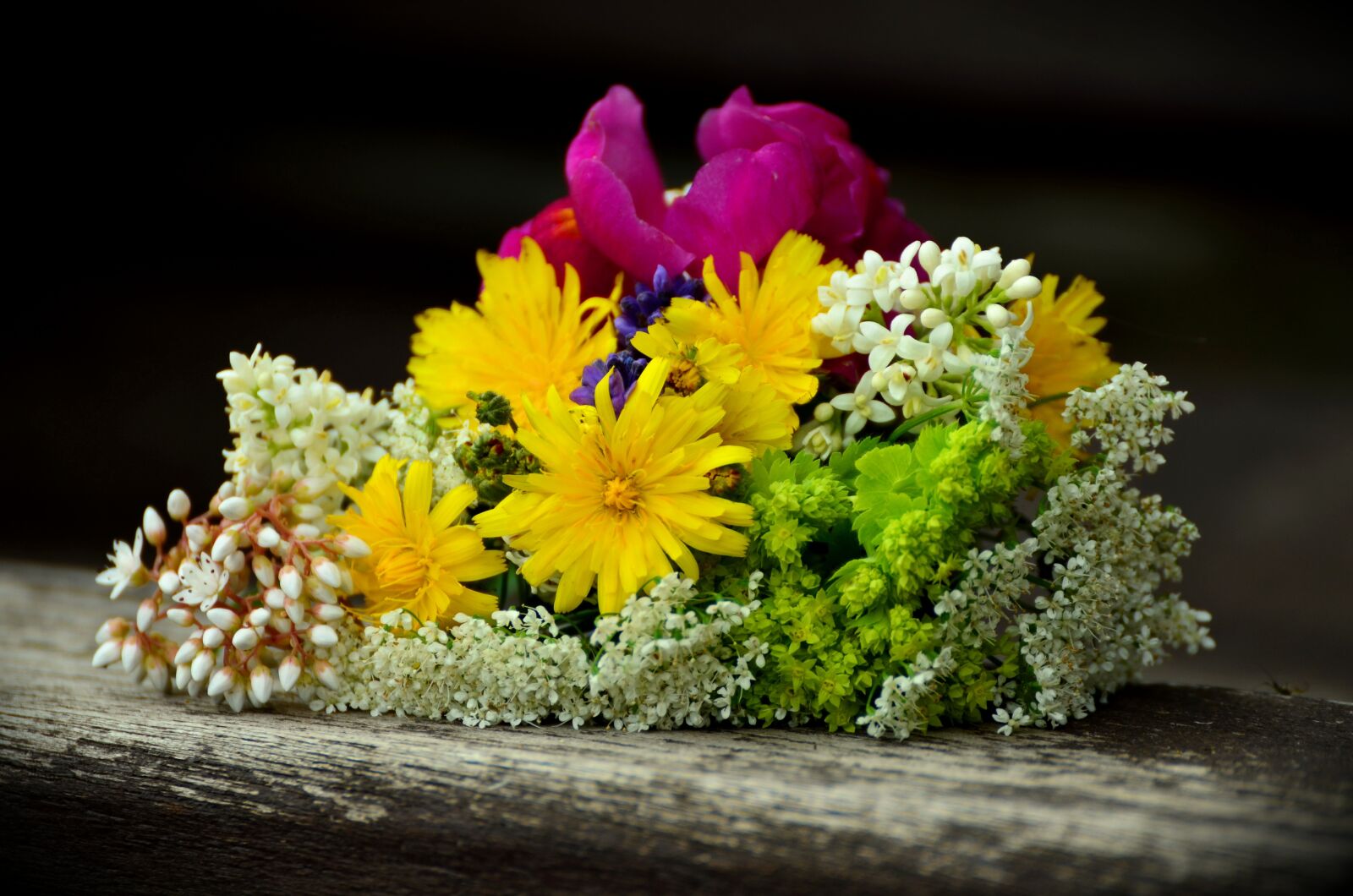 Nikon D5100 sample photo. Flowers, bouquet, thank you photography