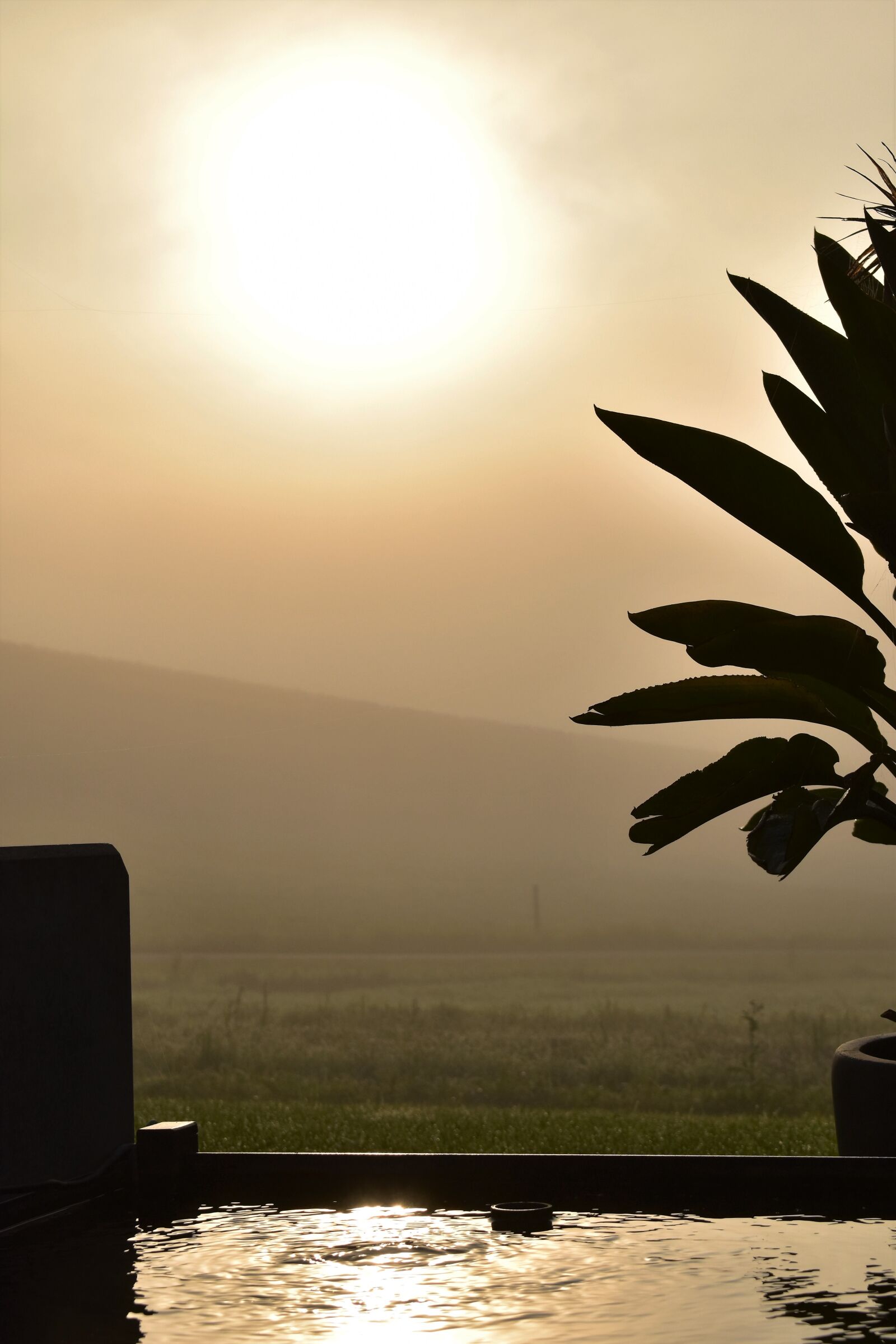 Nikon D5500 sample photo. Sunrise, backlighting, morgenstimmung photography