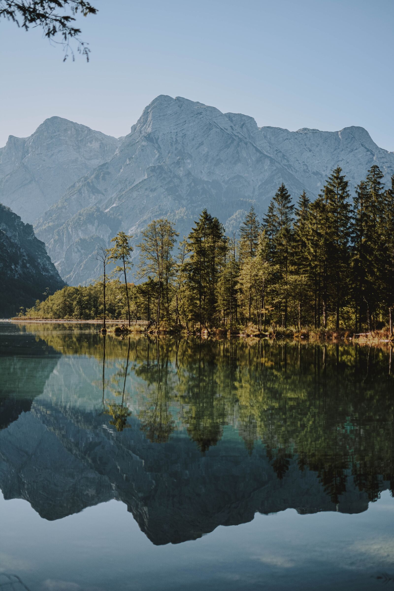Nikon D5200 sample photo. Nature, landscape, forest photography