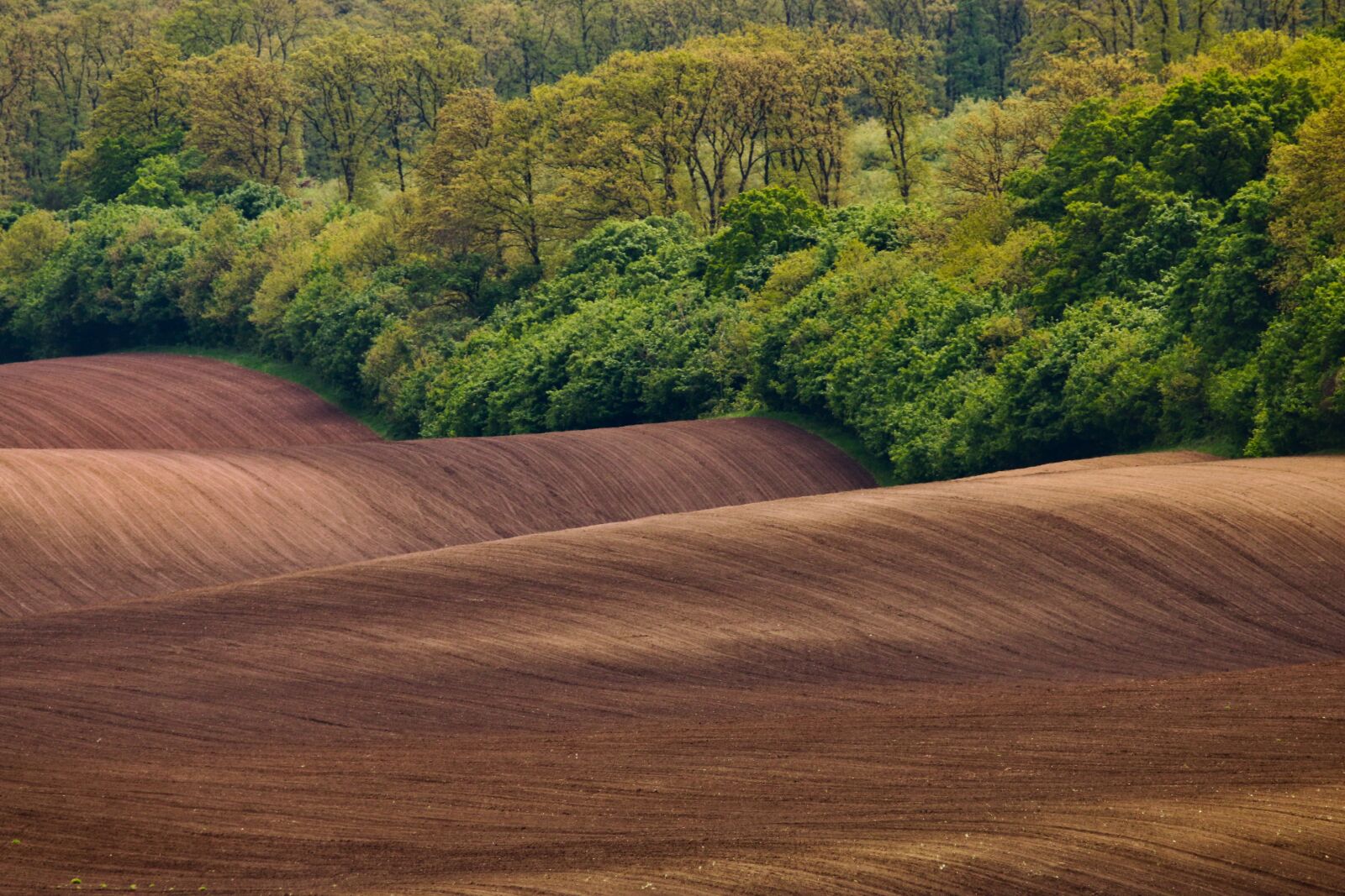 Canon EOS 70D sample photo. Earth, plow, agriculture photography