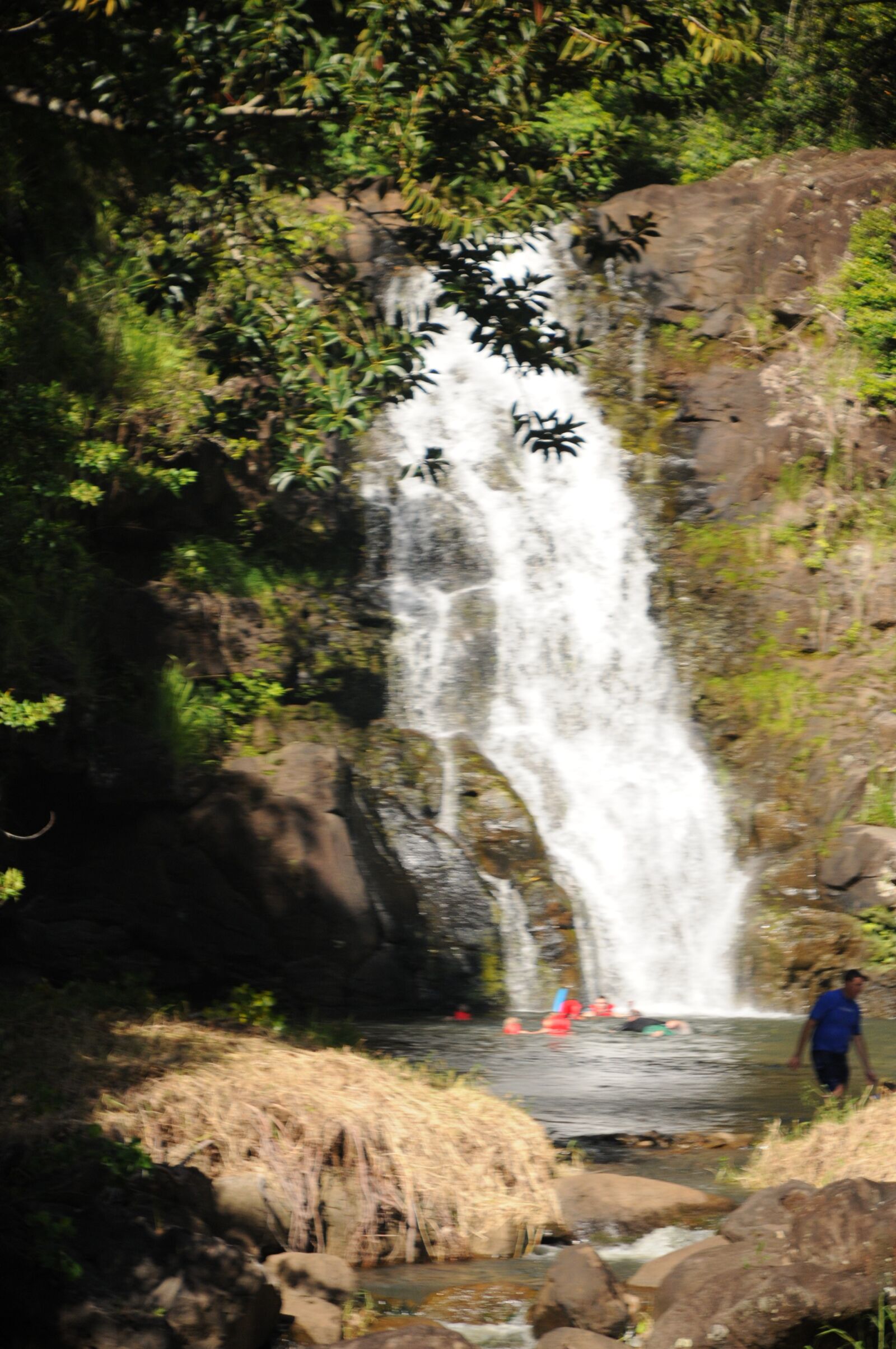 Nikon D300 sample photo. Hawaii, waterfall, scenic photography