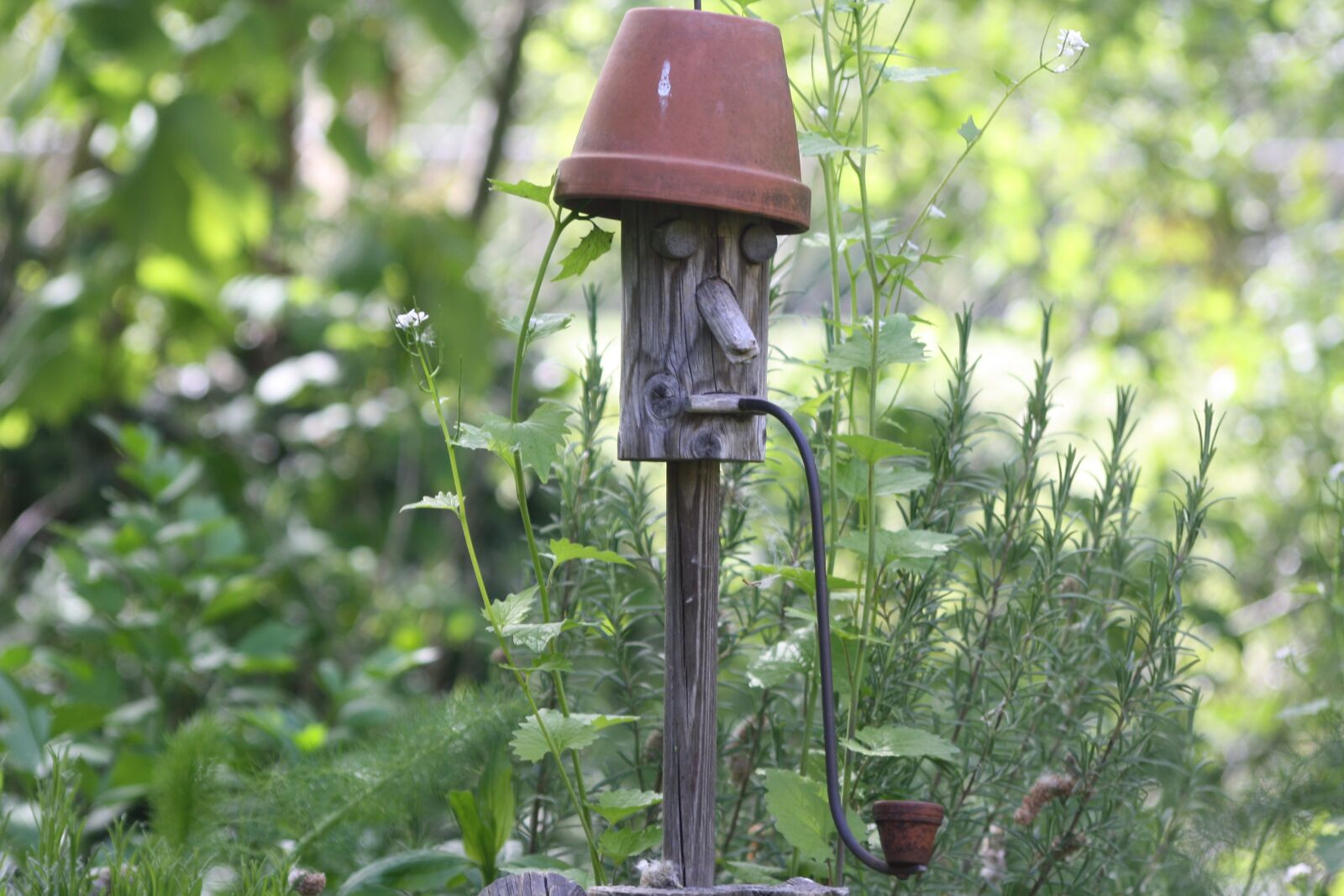 Canon EOS 1000D (EOS Digital Rebel XS / EOS Kiss F) sample photo. Beekeeper, bees, garden photography