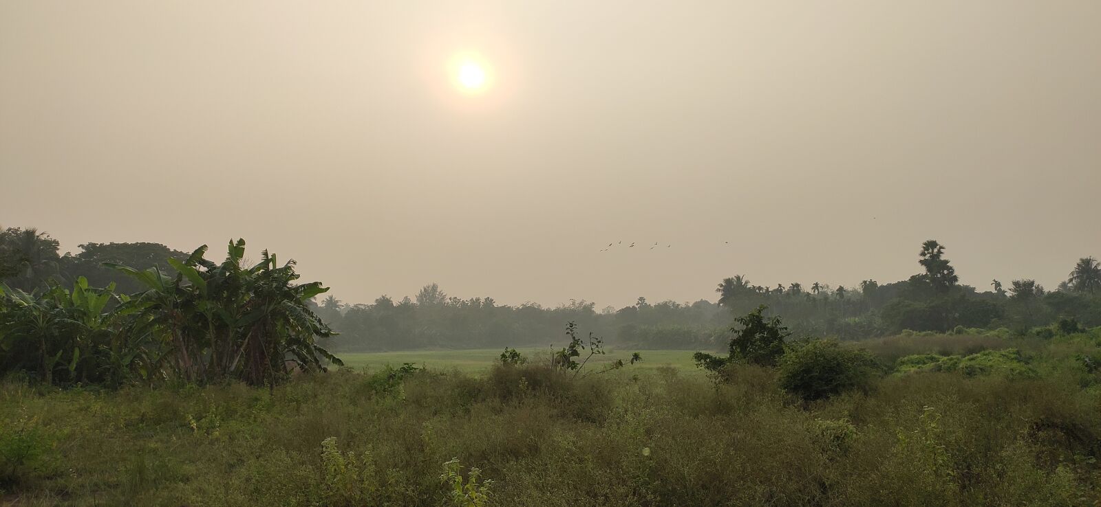 Xiaomi Redmi Note 7 Pro sample photo. Sunrise, dawn, nature photography