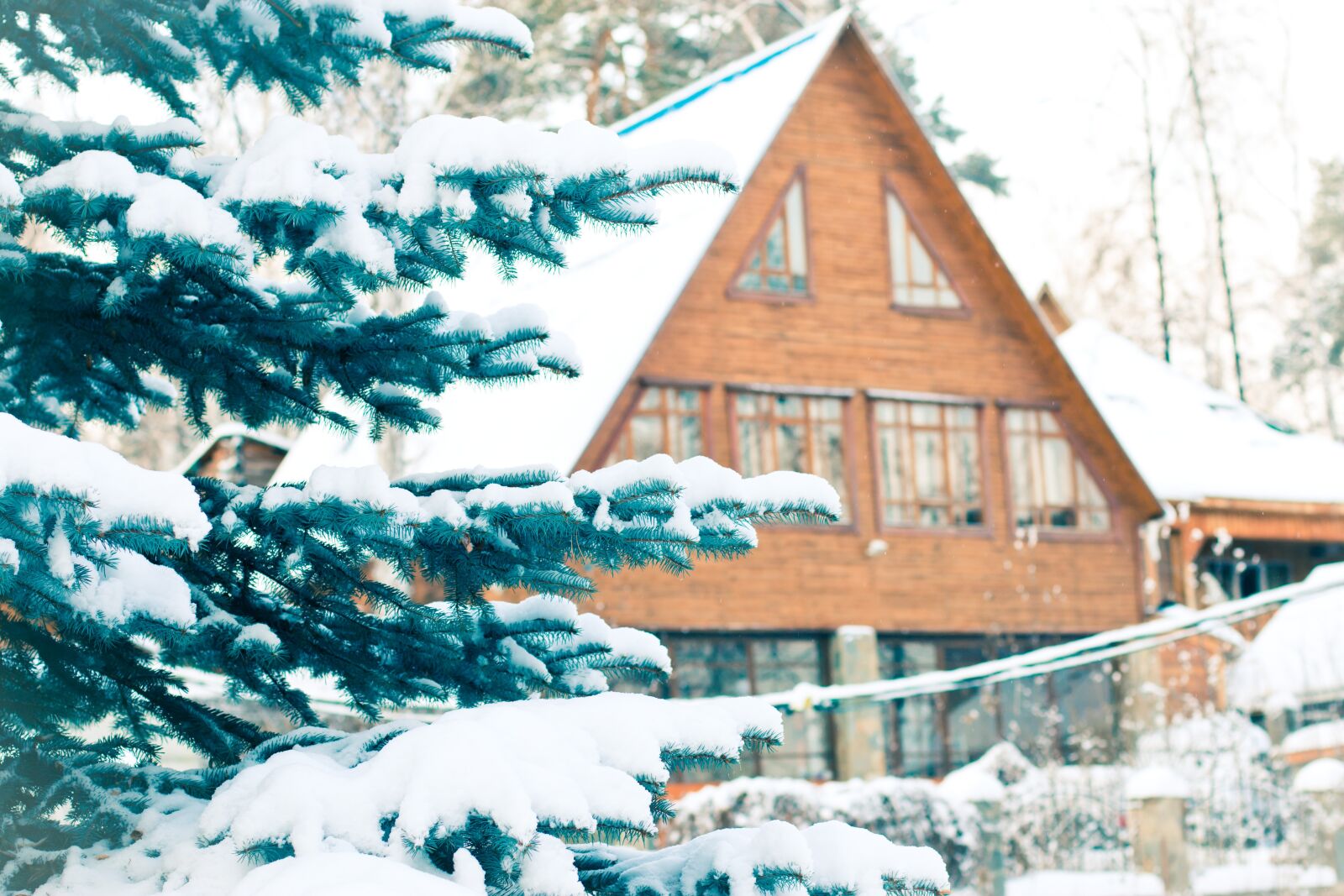 Canon EOS 70D + Canon EF 50mm F1.4 USM sample photo. Spruce, snow, snowfall photography
