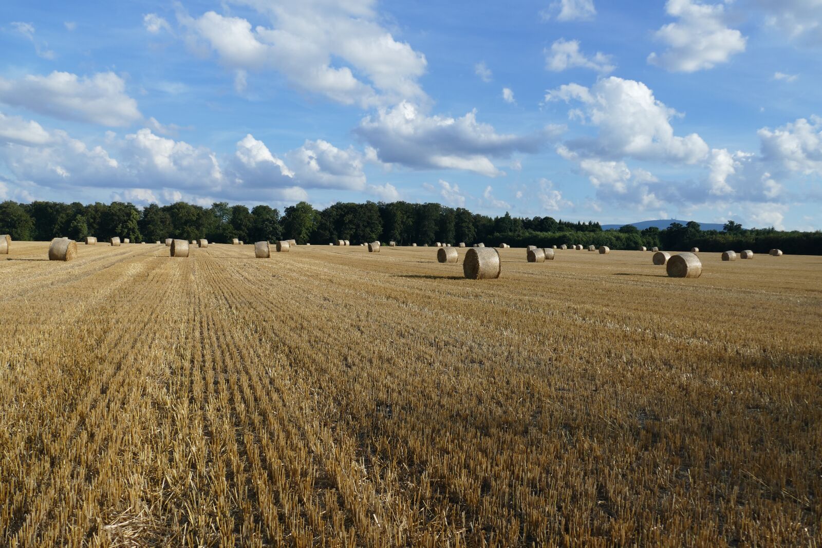 Panasonic Lumix DMC-FZ1000 sample photo. Nature, hay bales, arable photography