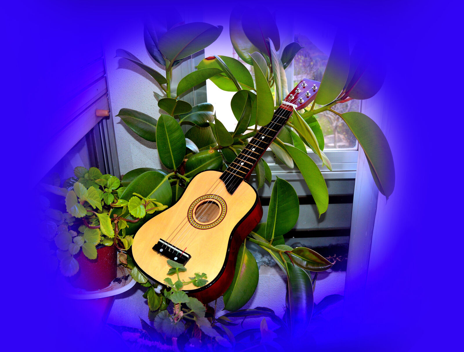 Nikon D3200 sample photo