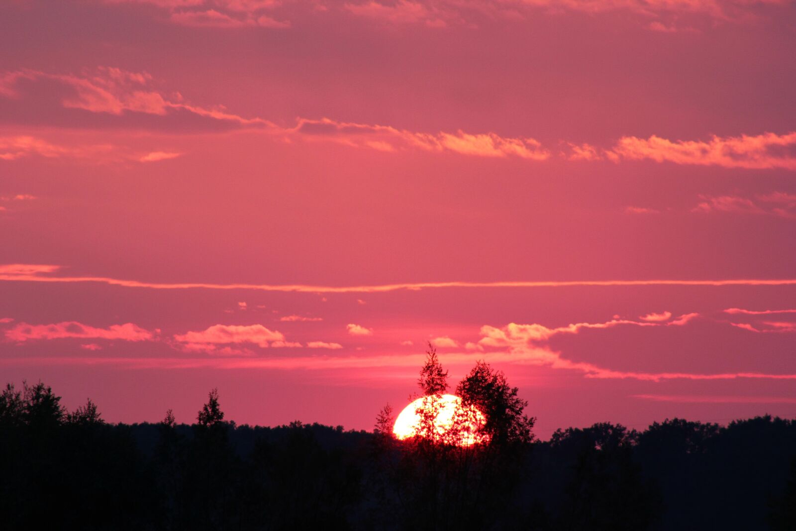 Canon EOS 550D (EOS Rebel T2i / EOS Kiss X4) sample photo. Pink sunset, evening, nature photography