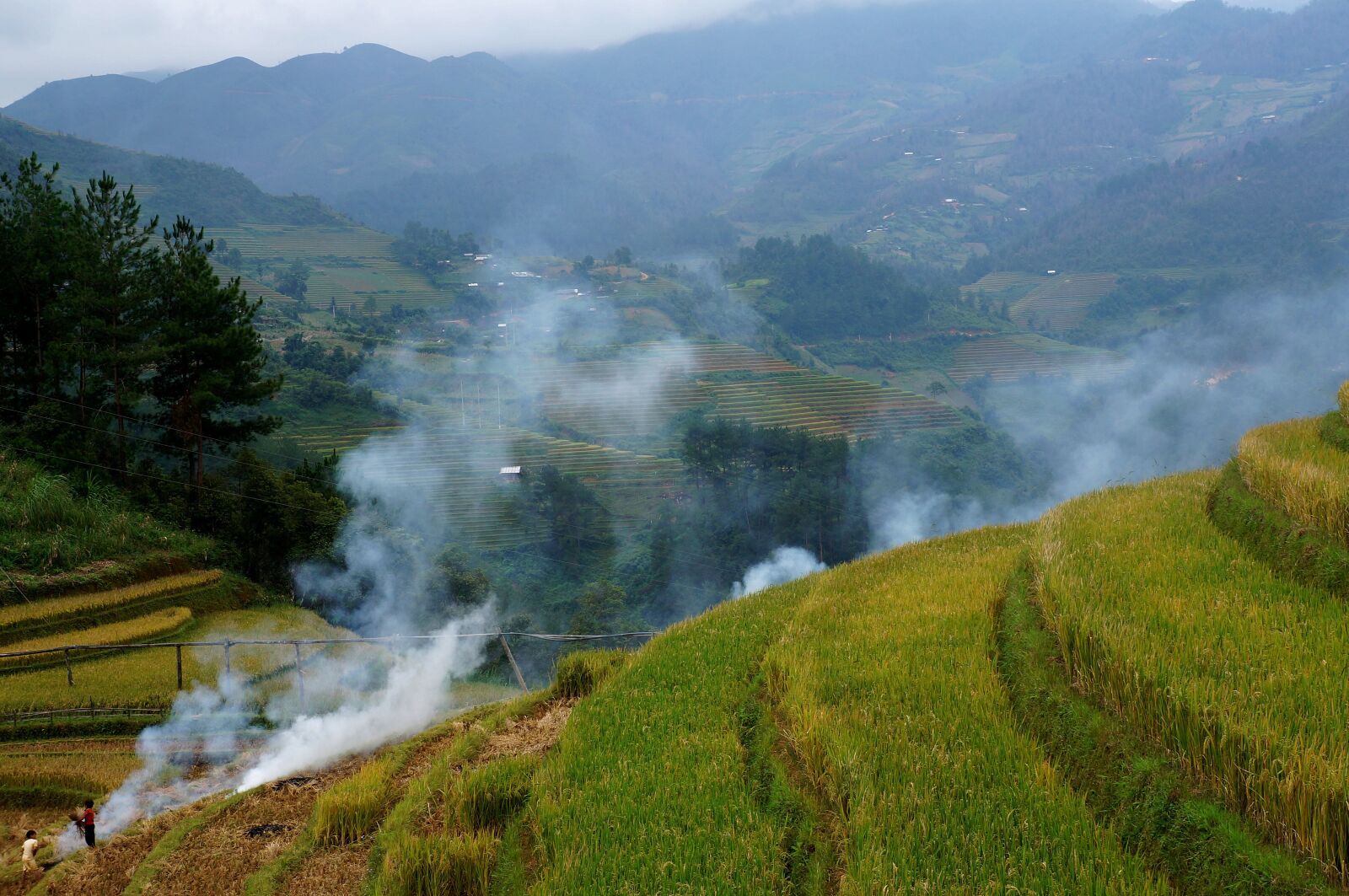 Sony Alpha NEX-F3 + Sony E 18-55mm F3.5-5.6 OSS sample photo. Scenery, smoke, rice field photography