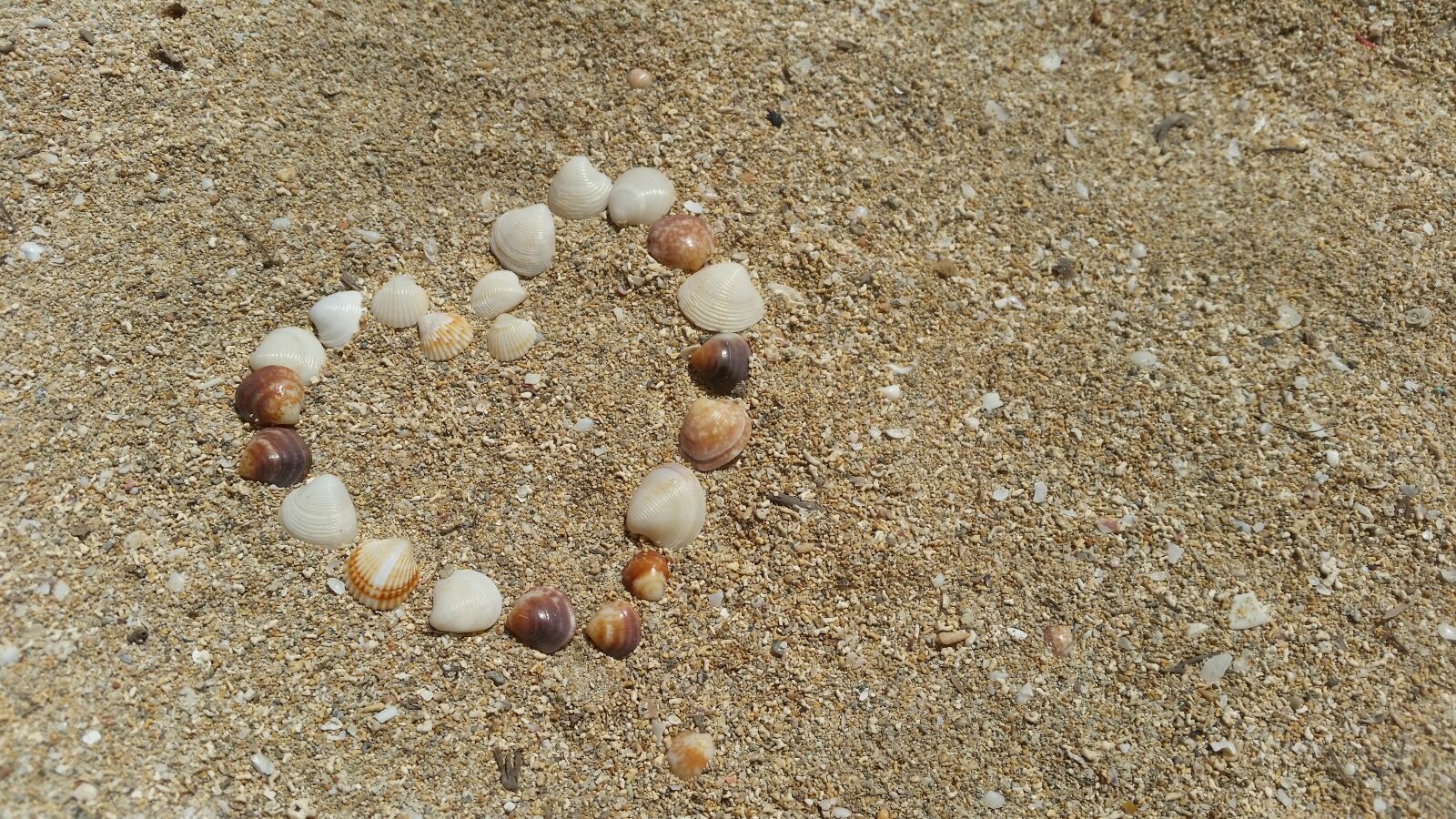 Samsung Galaxy S5 sample photo. Shell, sand, heart photography