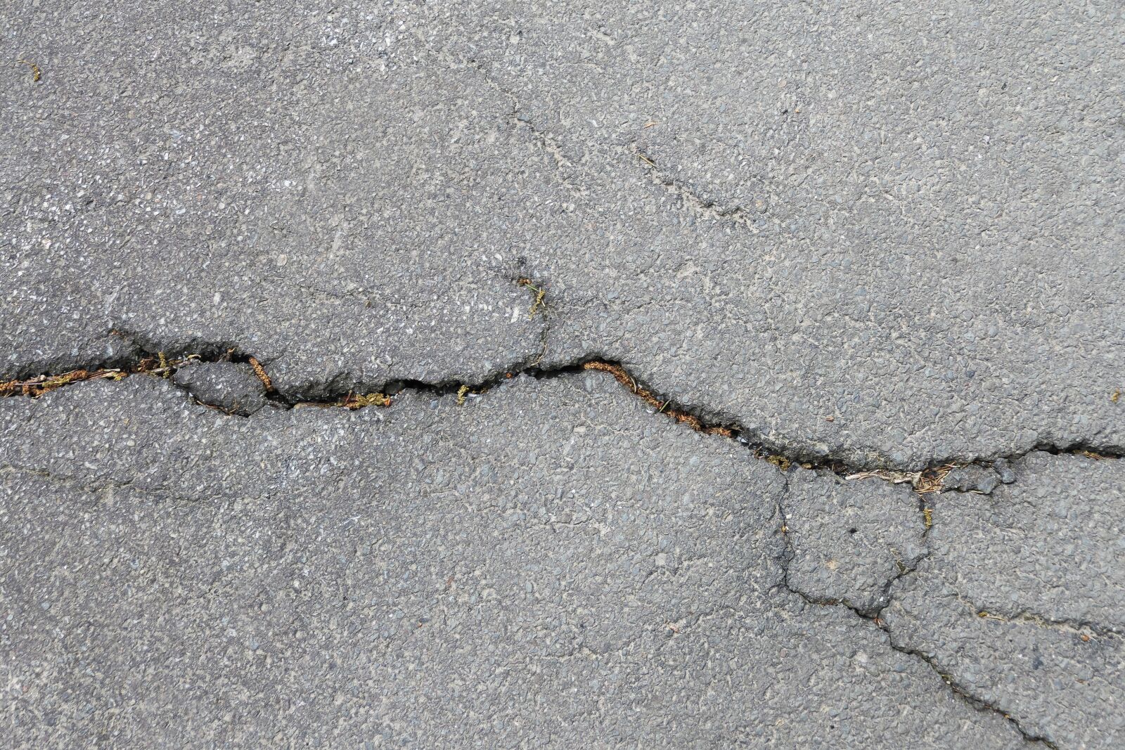 Panasonic Lumix DMC-FZ1000 sample photo. Asphalt, road, cracks photography