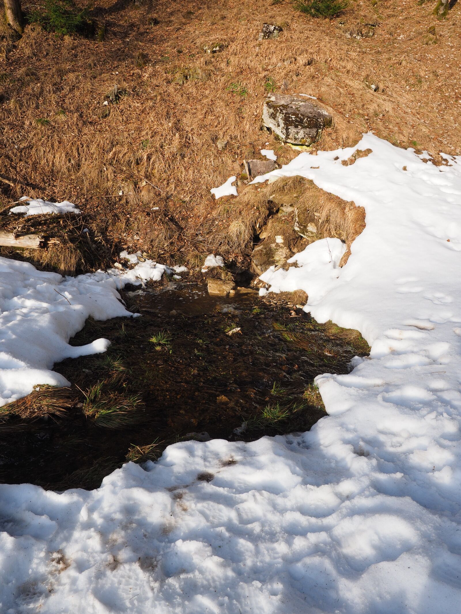 Olympus OM-D E-M1 + Olympus M.Zuiko Digital ED 12-40mm F2.8 Pro sample photo. Seepage site, water, pond photography