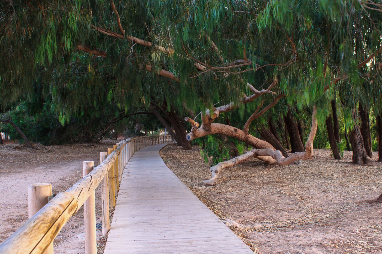 Canon EOS 2000D (EOS Rebel T7 / EOS Kiss X90 / EOS 1500D) sample photo. Lonely, nature, landscape photography