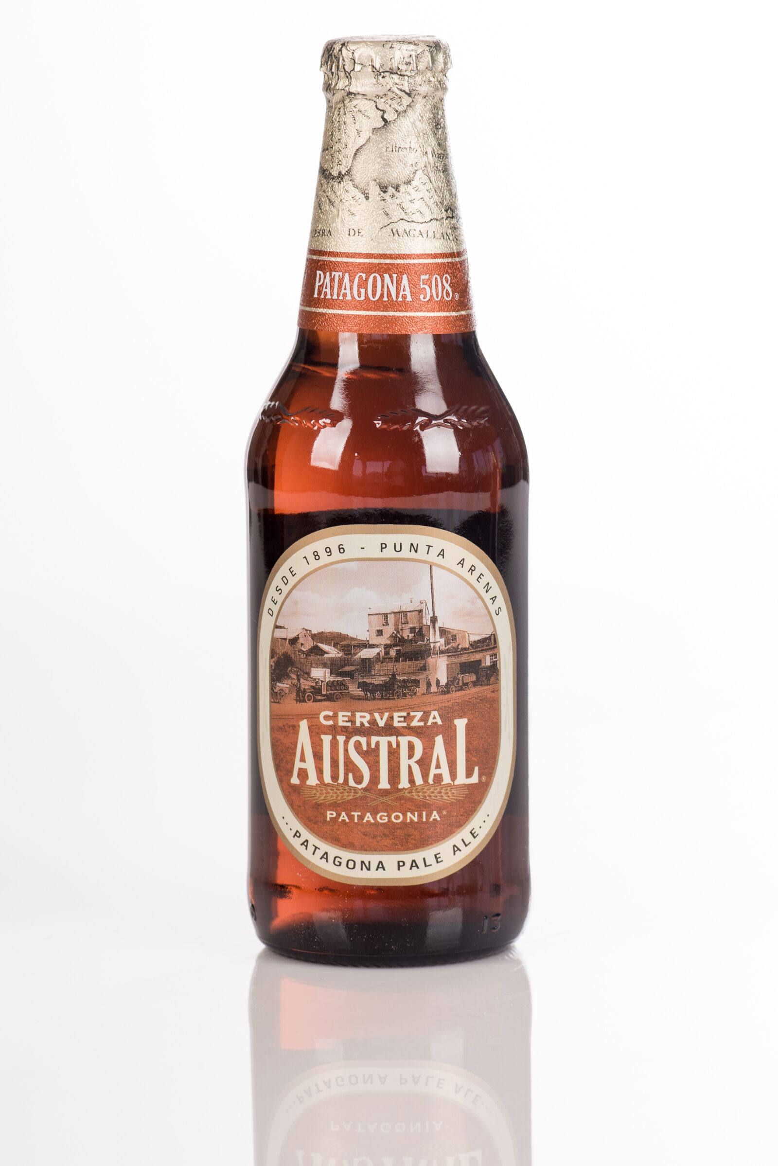 Nikon D810 sample photo. Beer, beer southern, chile photography