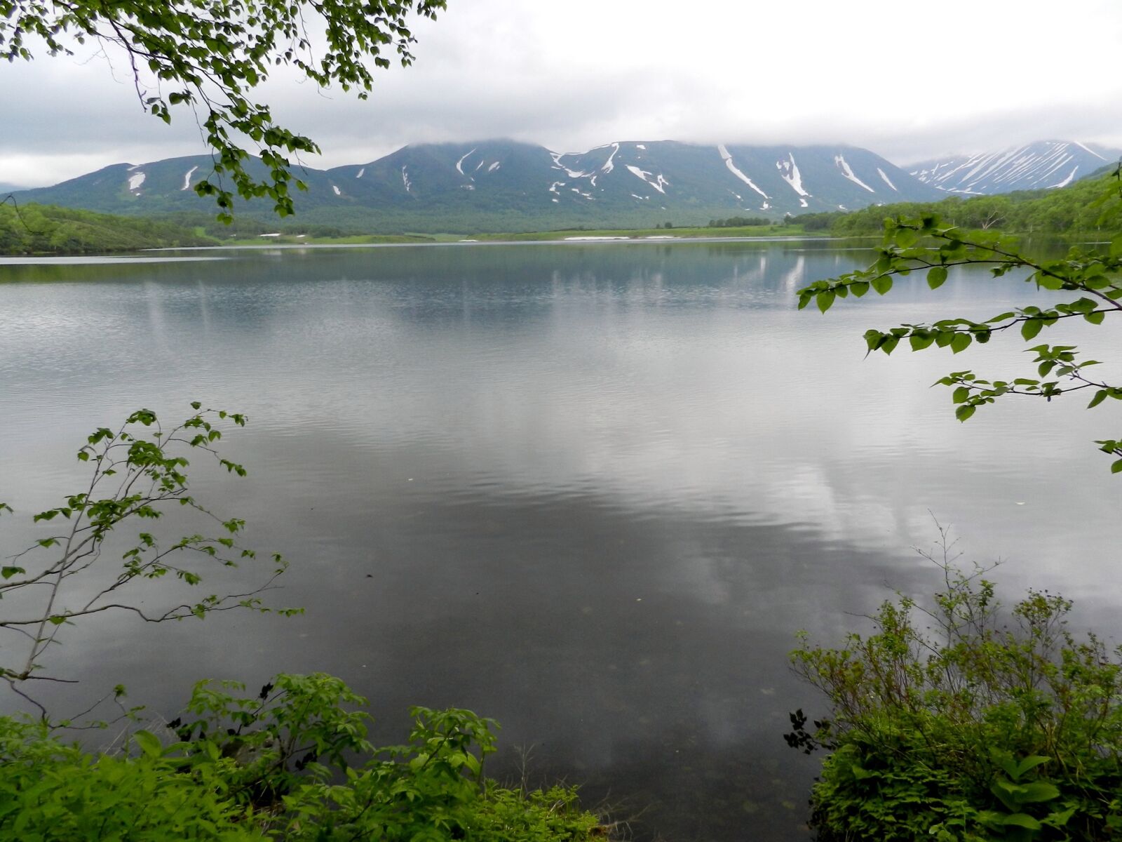 Nikon Coolpix P500 sample photo. Lake, mountains, forest photography