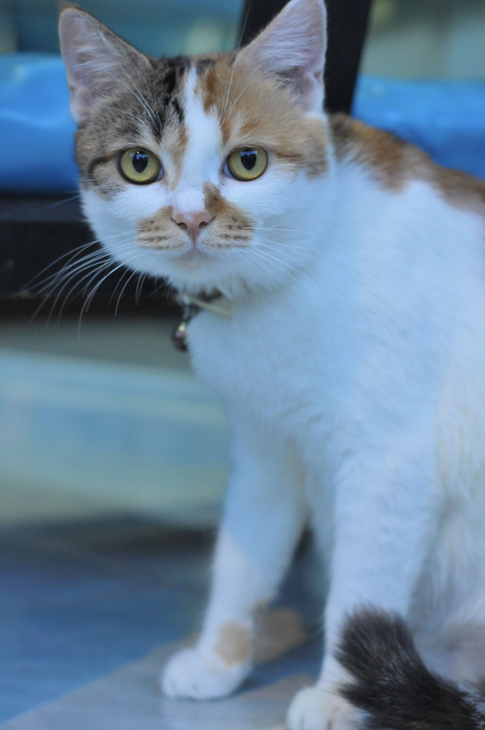 Nikon D300 sample photo