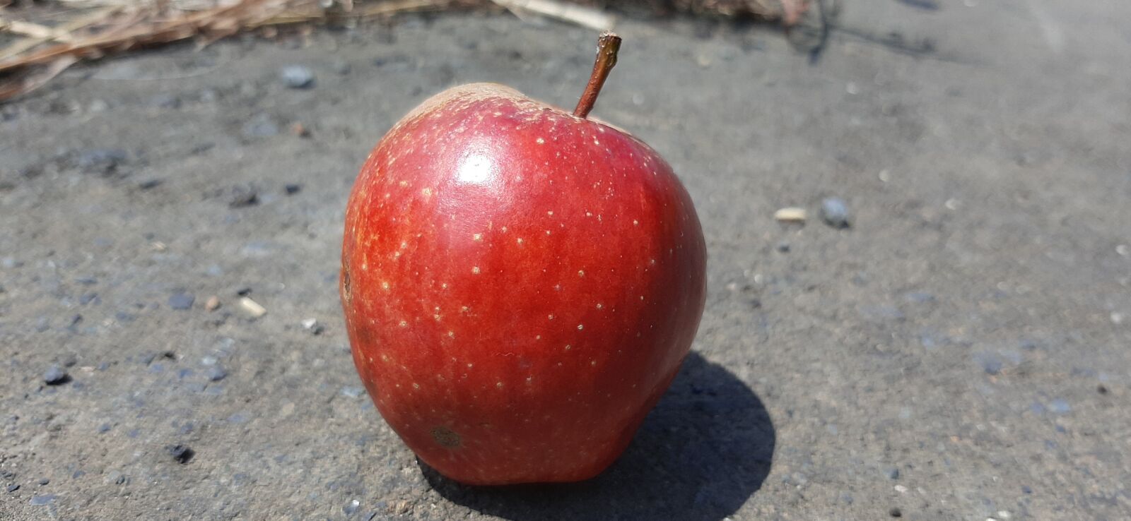 Samsung SM-A307FN sample photo. Red, heathy, fresh photography
