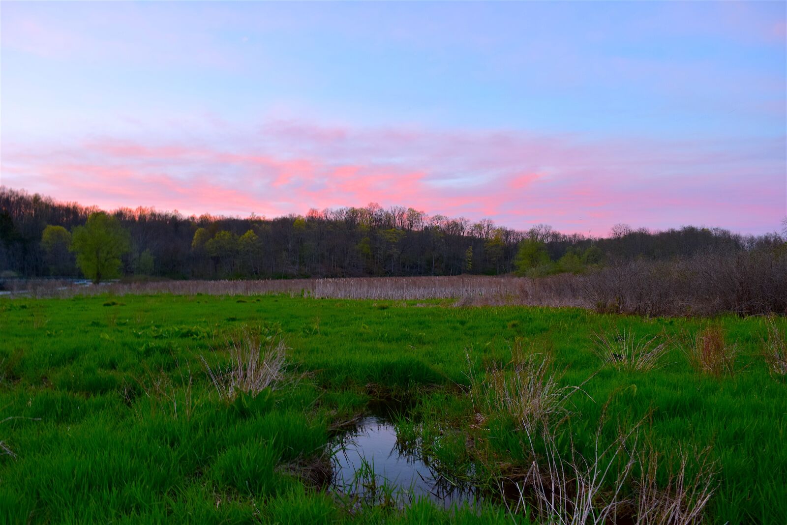 Nikon D3300 sample photo. Field, sunset, trees photography