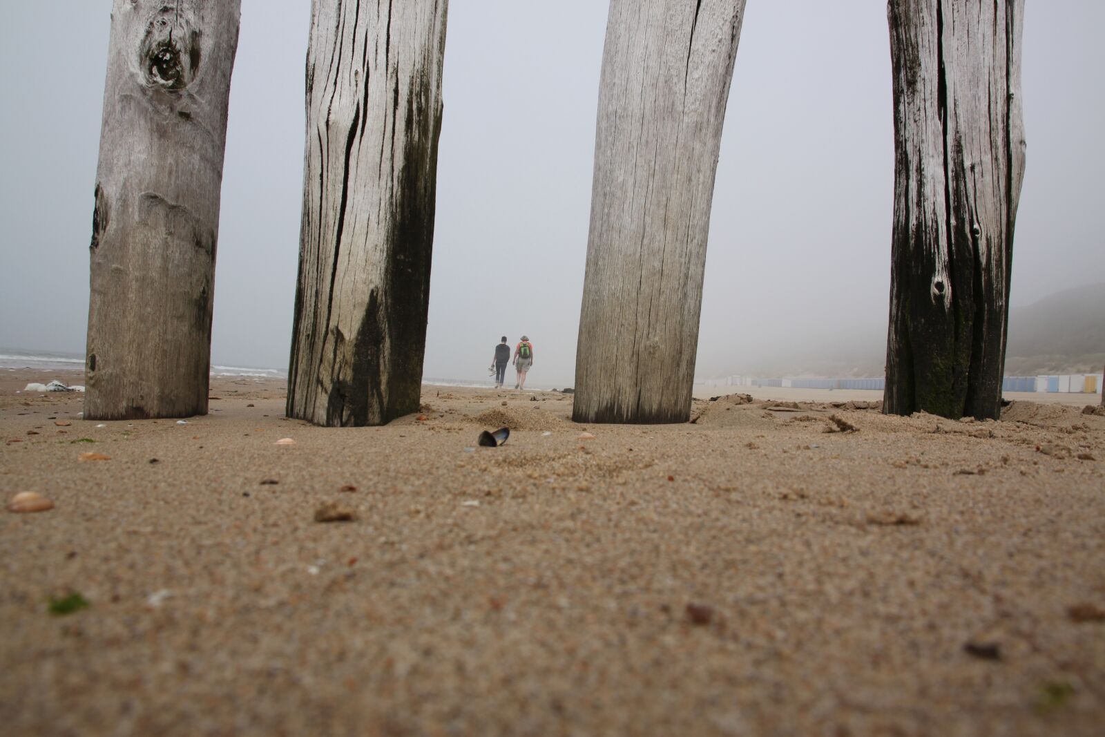 Canon EOS 500D (EOS Rebel T1i / EOS Kiss X3) sample photo. Beach, sea, sand photography