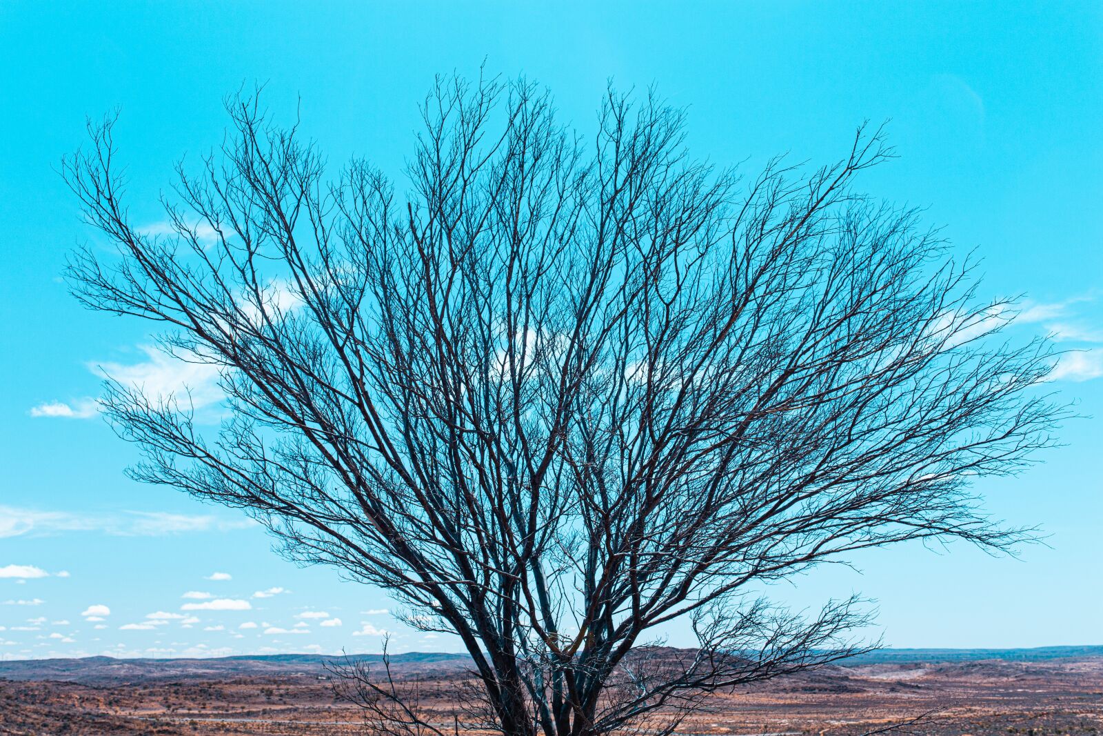 Canon EOS 6D sample photo. Queensland, australia, wild photography