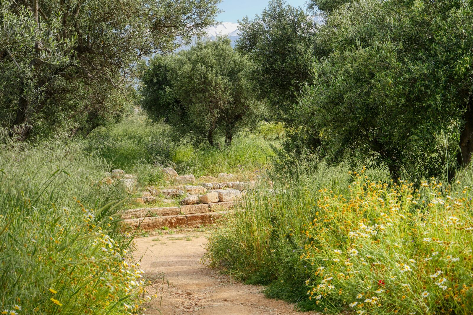 Panasonic Lumix DMC-GX8 sample photo. Walk, hiking, crete photography