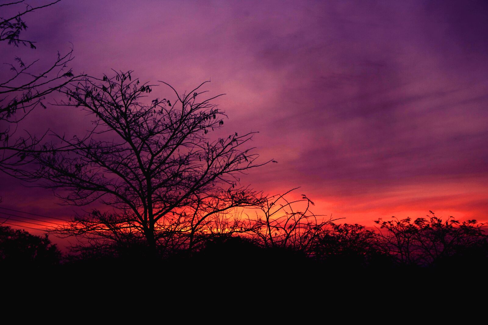 Canon EOS 750D (EOS Rebel T6i / EOS Kiss X8i) sample photo. Tree, landscape, nature photography