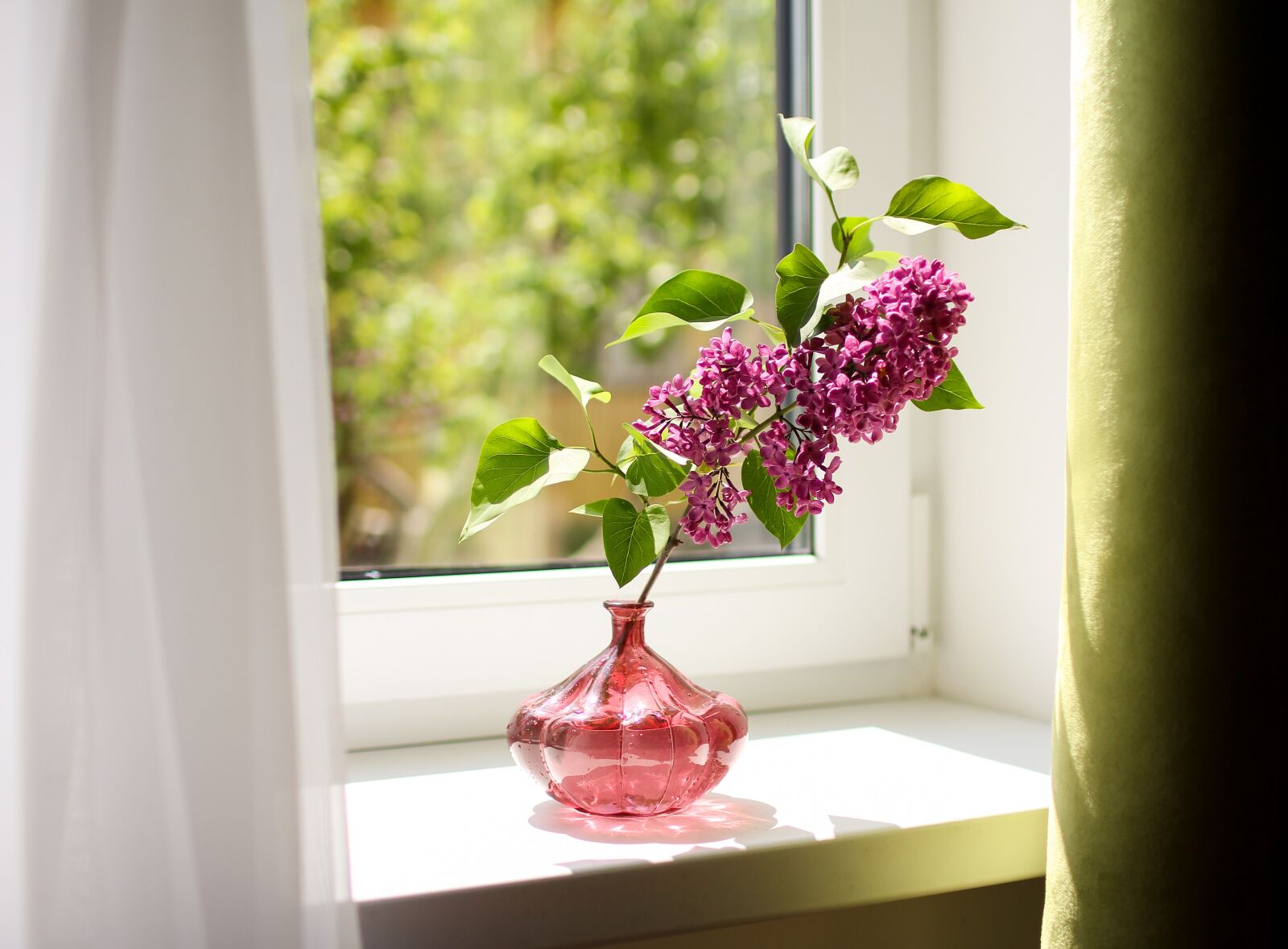 Canon EOS 60D sample photo. Lilac, branch, vase photography