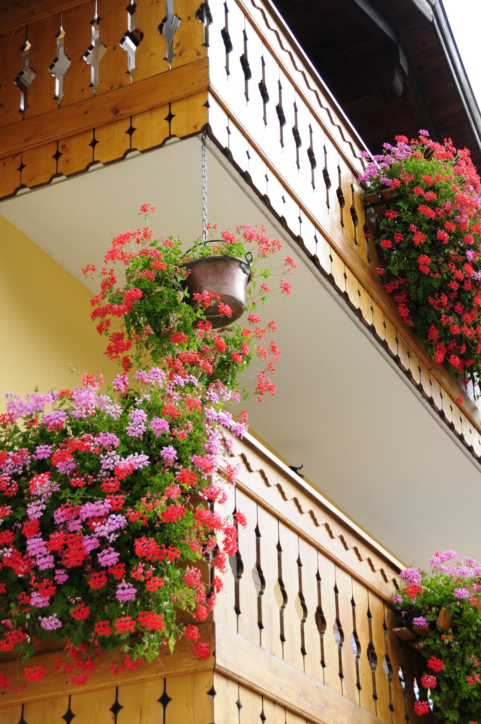 Nikon D300S sample photo. Flowers, balcony, wood photography