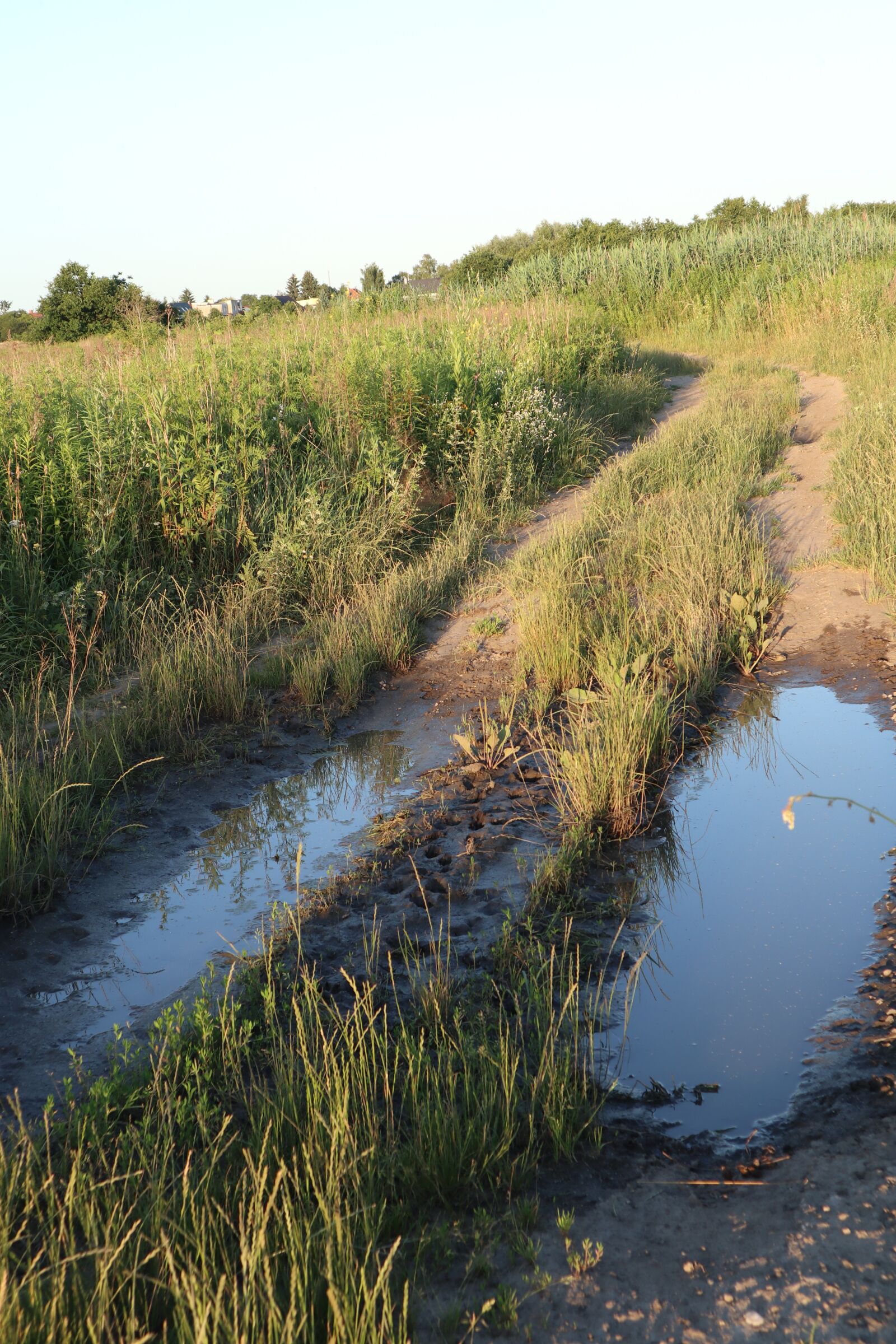 Canon EOS M100 sample photo. Pool, mud, the path photography