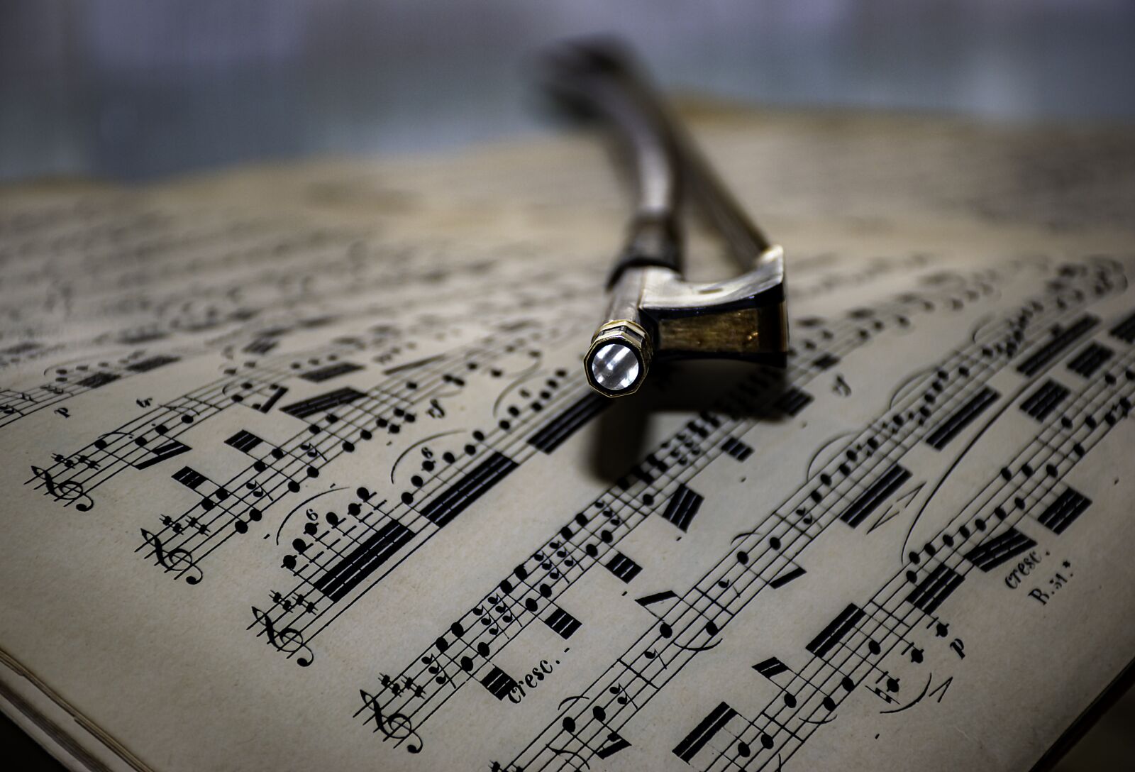 Nikon D5600 sample photo. Bow, timeless, music sheet photography