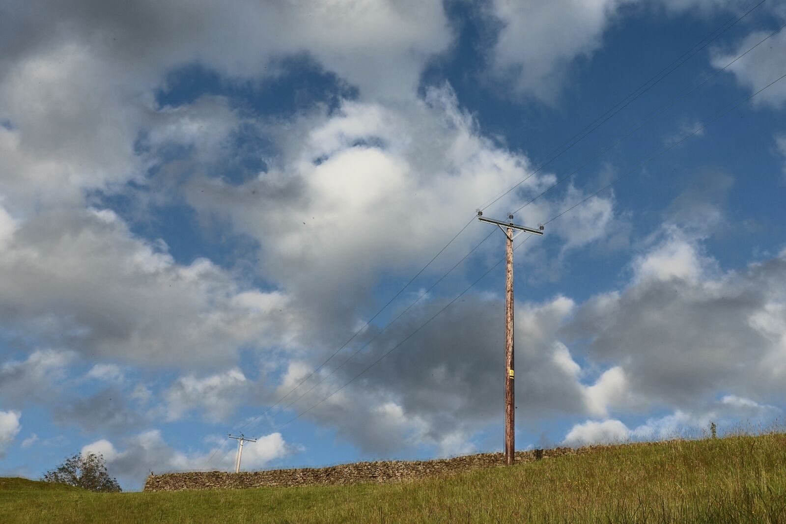 Canon EOS 77D (EOS 9000D / EOS 770D) sample photo. Clouds, sky, wall shrub photography