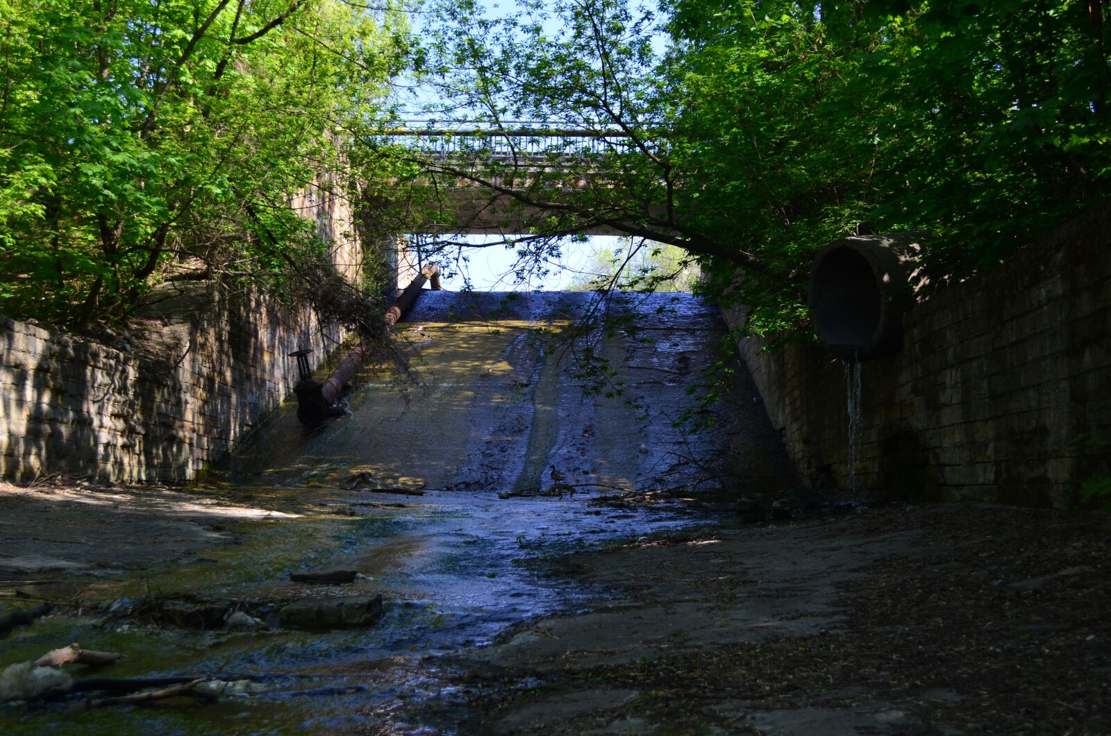 Nikon D5100 sample photo. Park, the abandoned, old photography