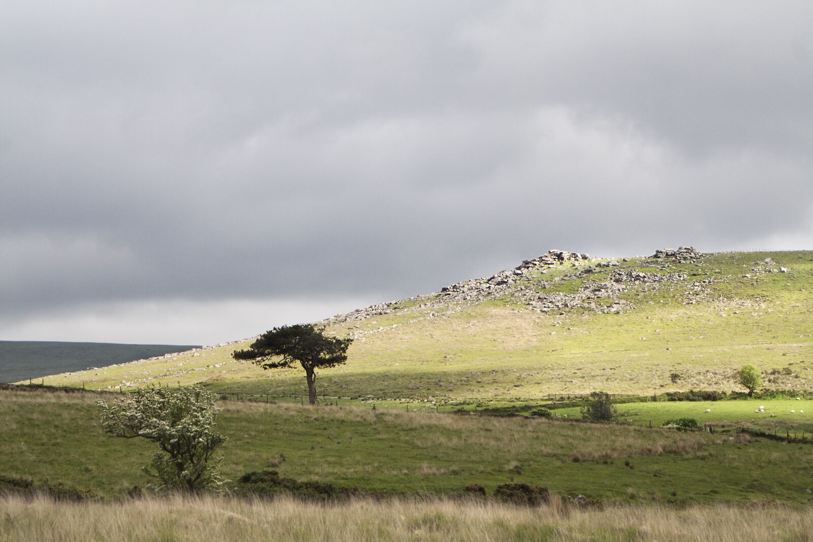 Canon EOS 350D (EOS Digital Rebel XT / EOS Kiss Digital N) sample photo. Dartmoor, tor, devon photography
