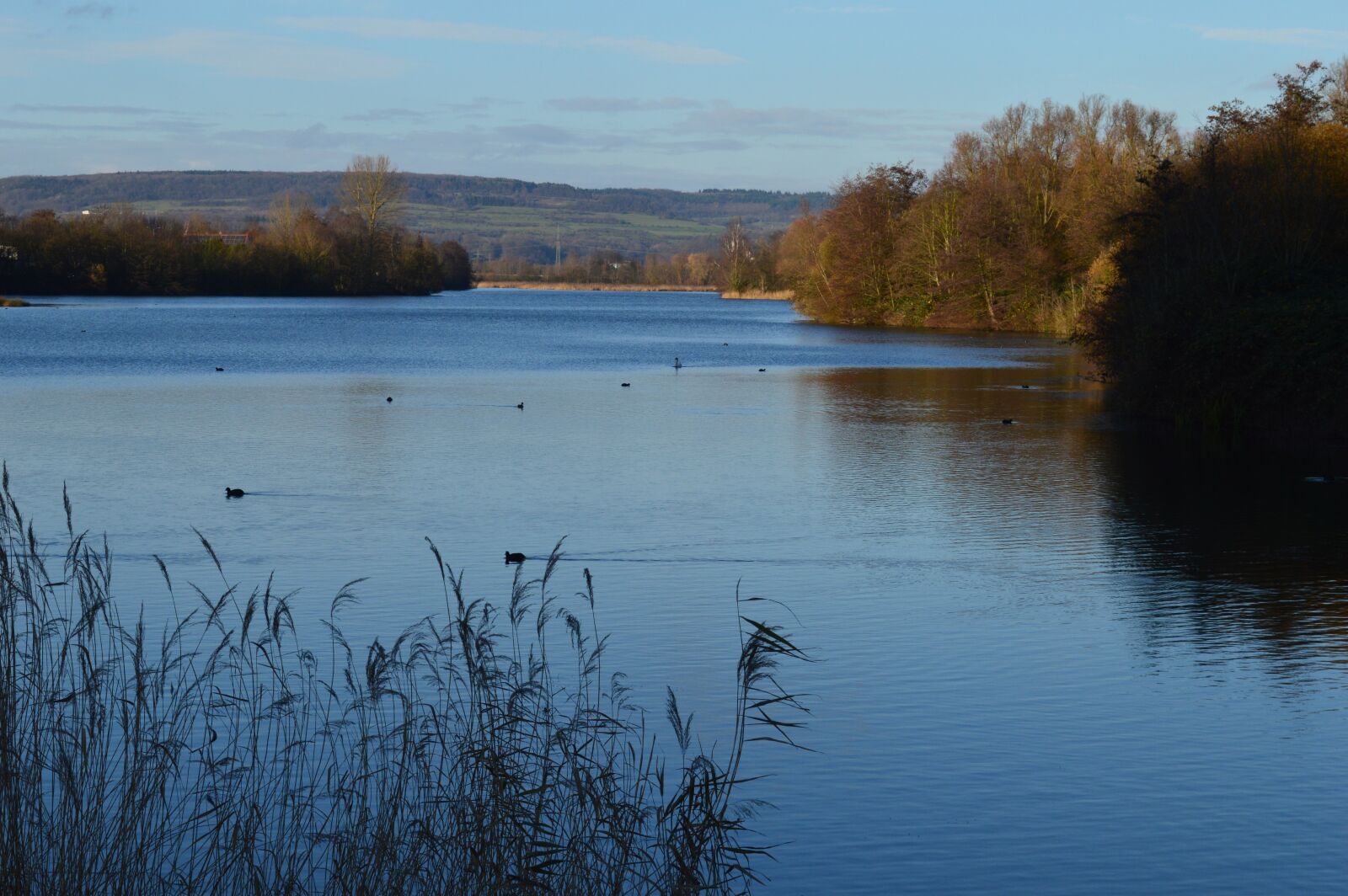 Nikon D3200 sample photo. Landscape, saarland, lake photography