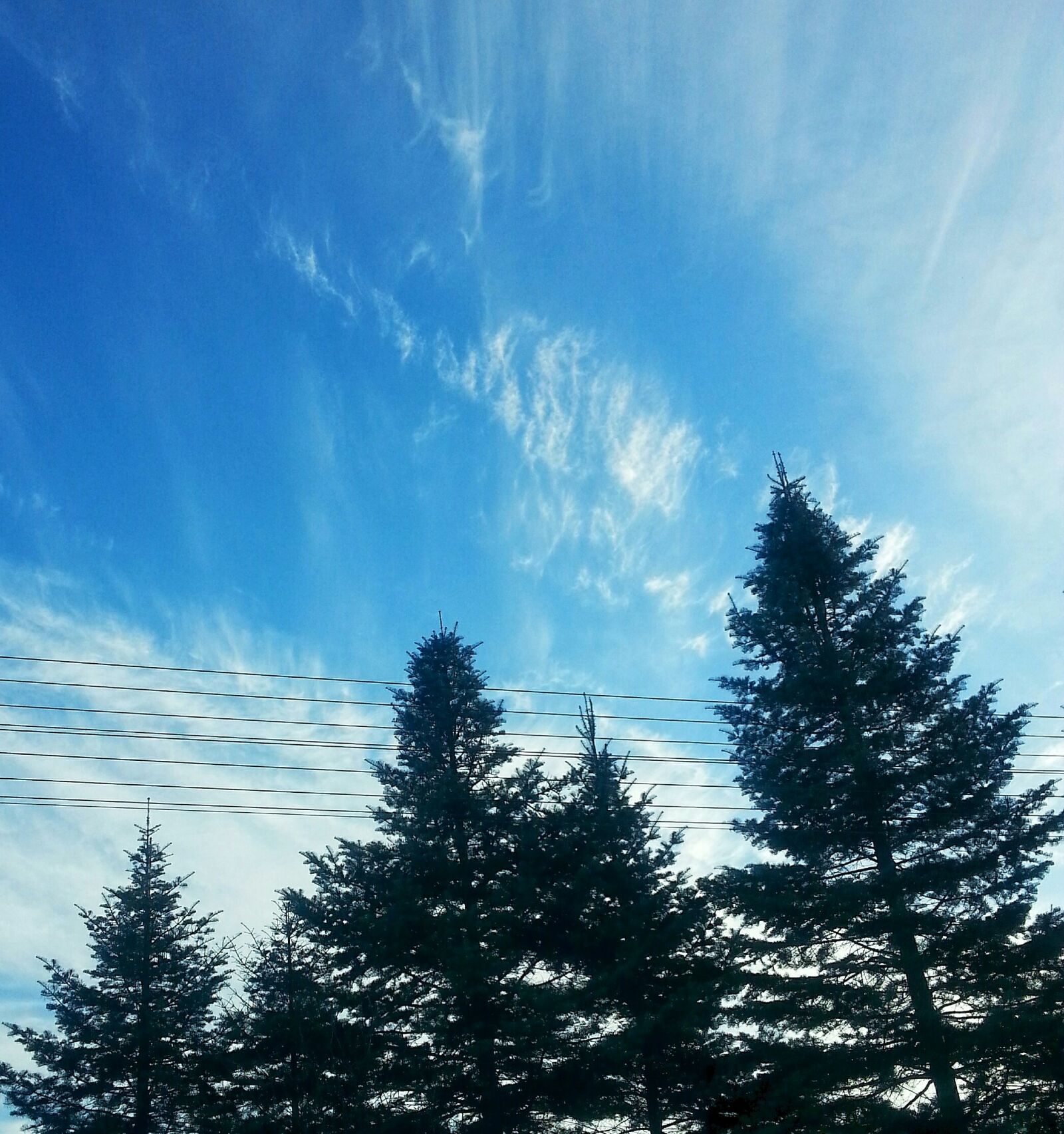 Samsung Galaxy S3 sample photo