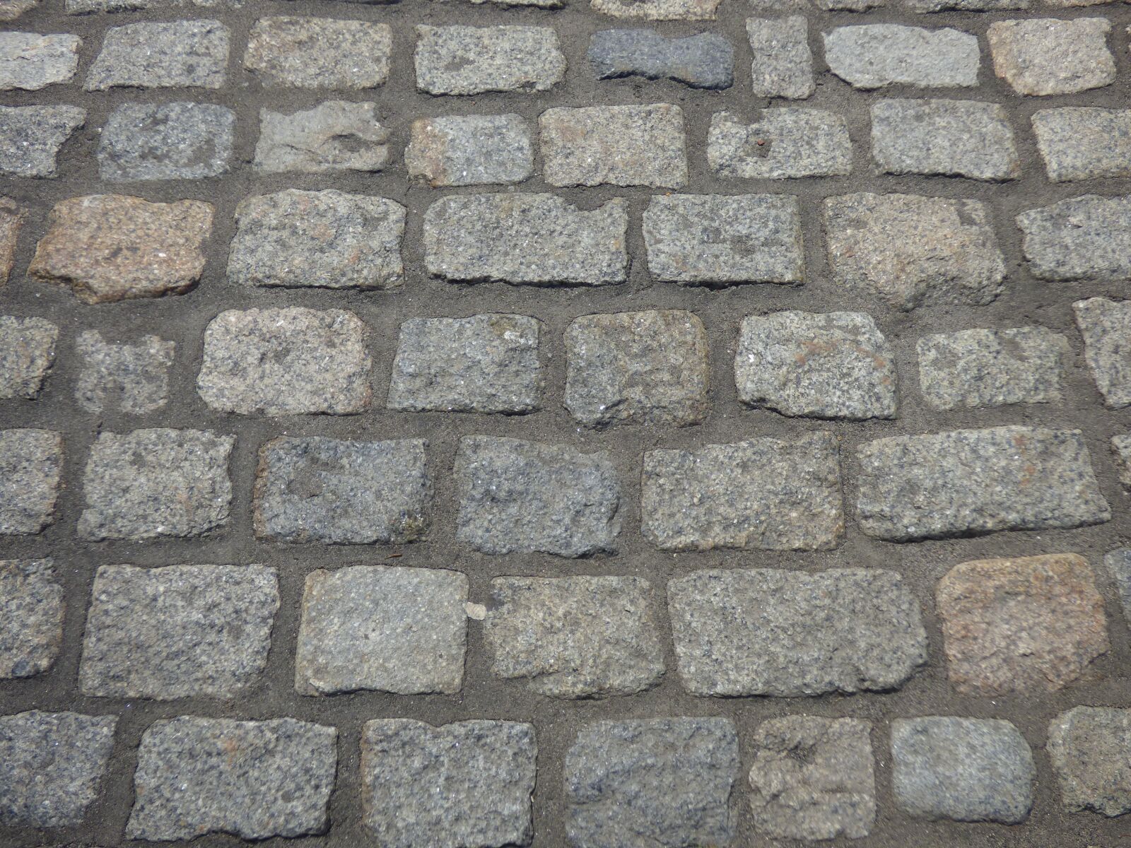 Panasonic Lumix DMC-FZ70 sample photo. Cobblestone, street, bricks photography