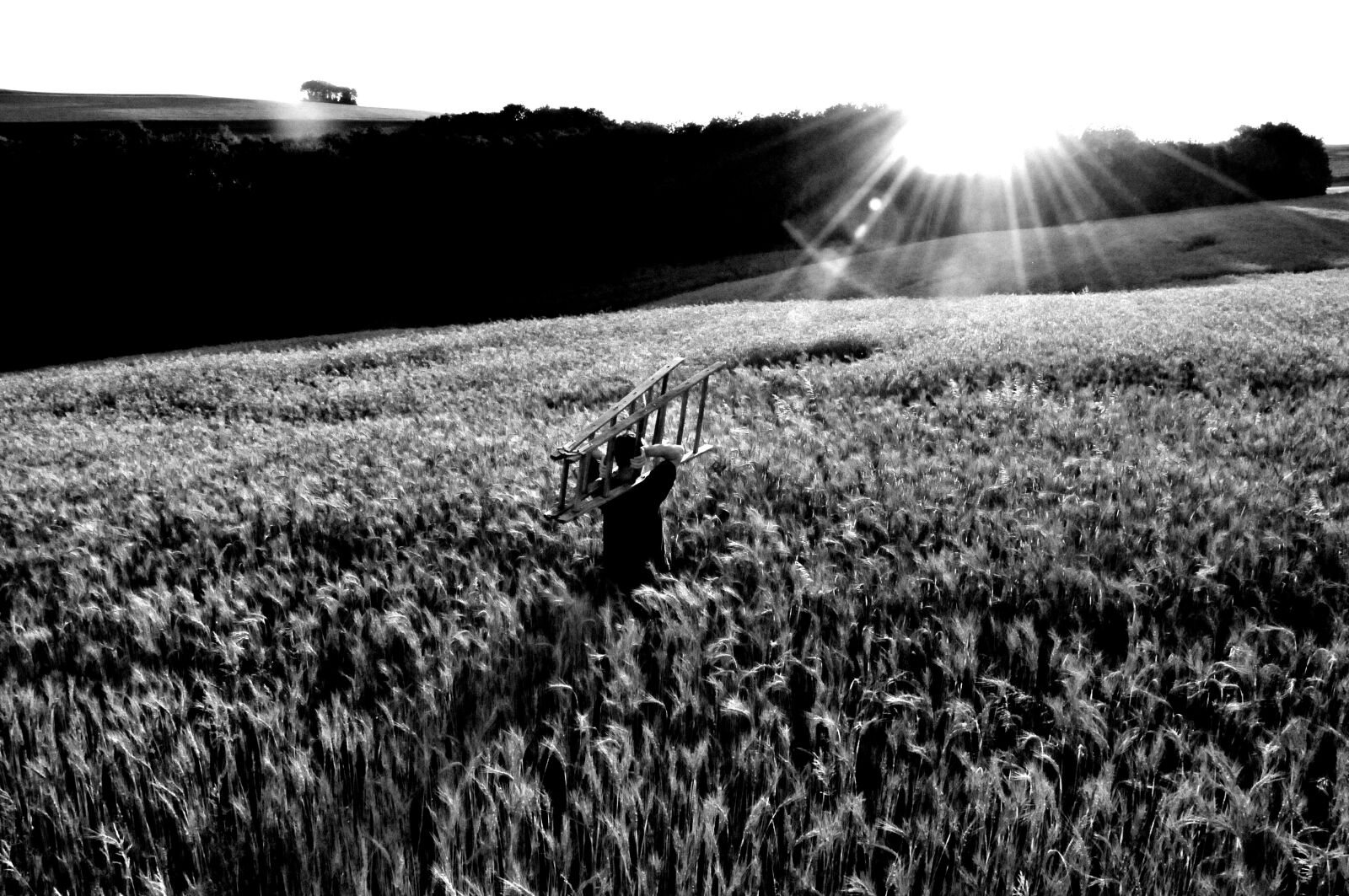 Nikon D300 sample photo. Cornfield, head, go your photography