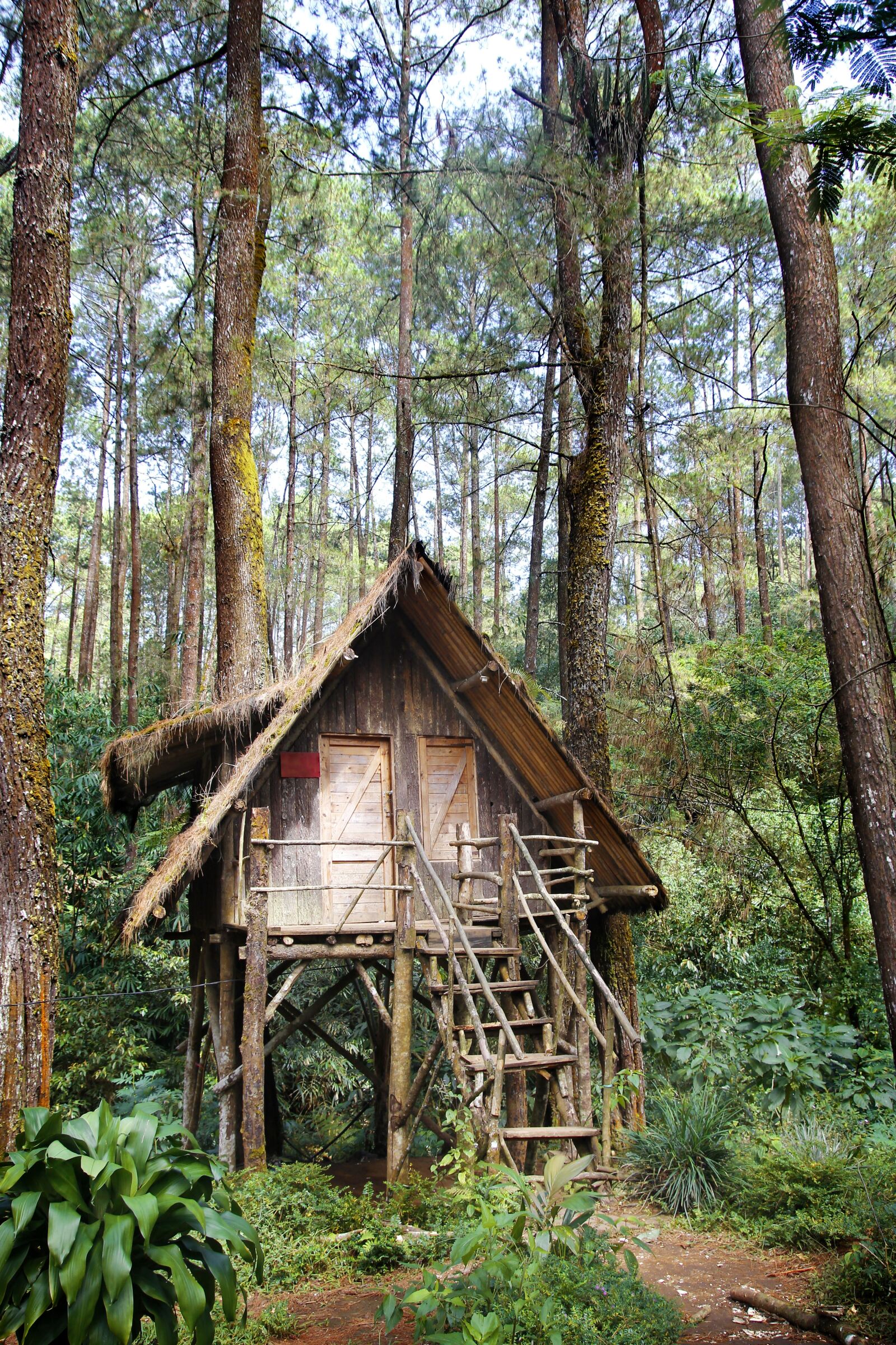 Canon EOS 60D sample photo. Tree house, forest, the photography