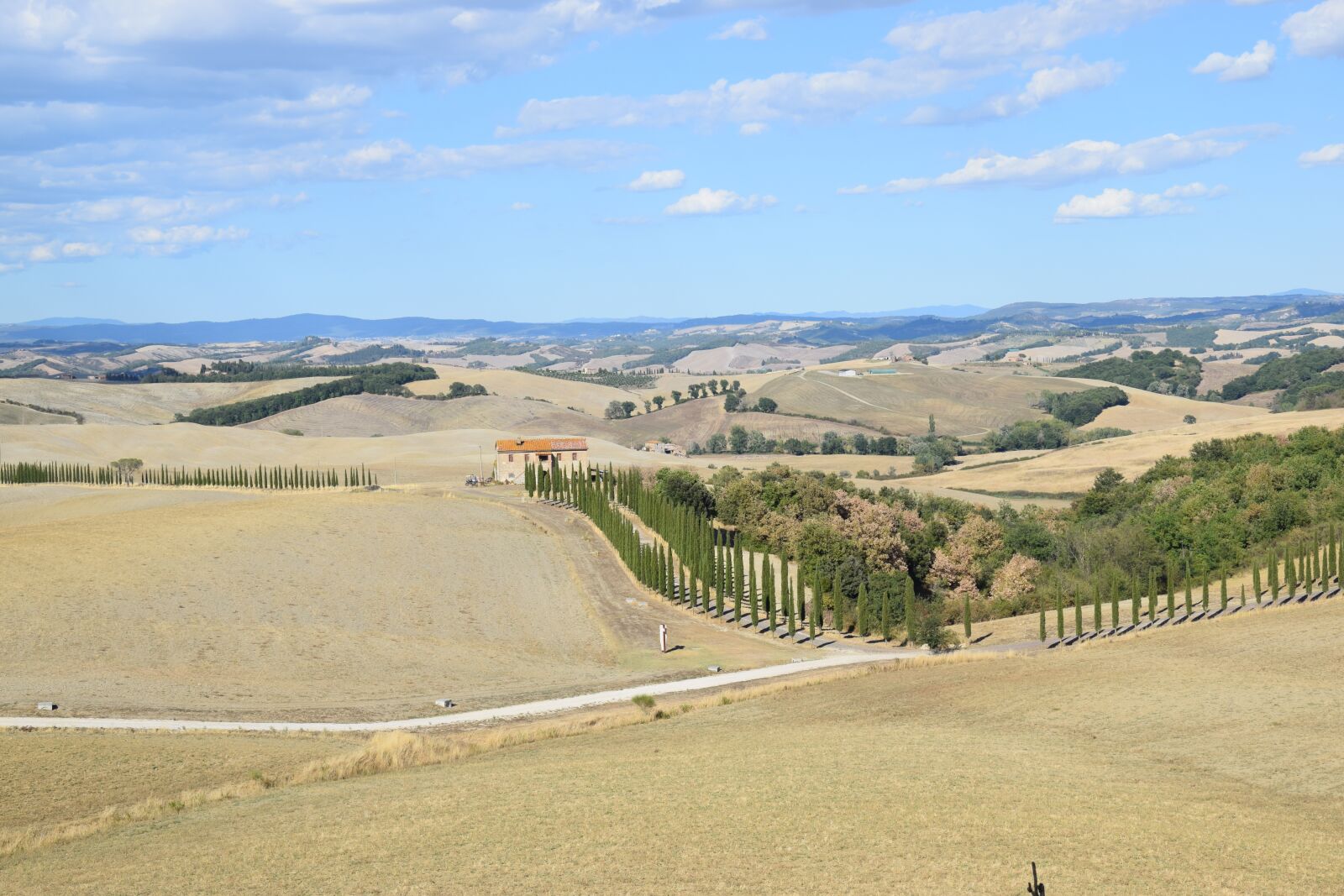 Nikon D5300 sample photo. Siena, cypress trees, viale photography